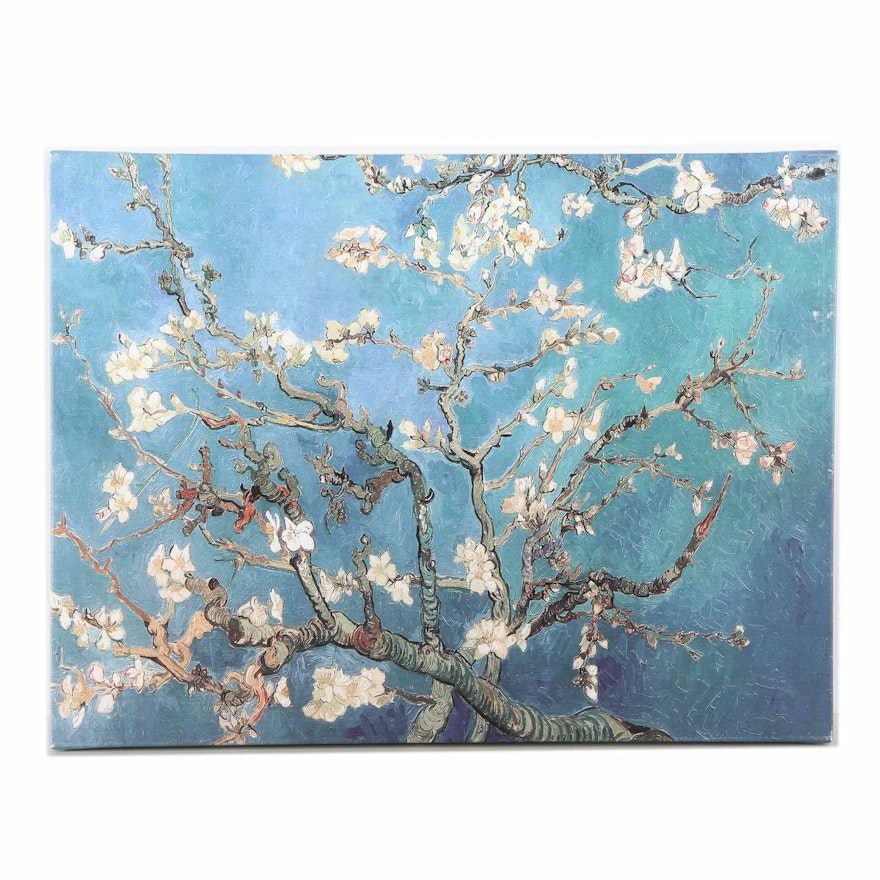 Giclee After Vincent Van Gogh's "Almond Blossoms"