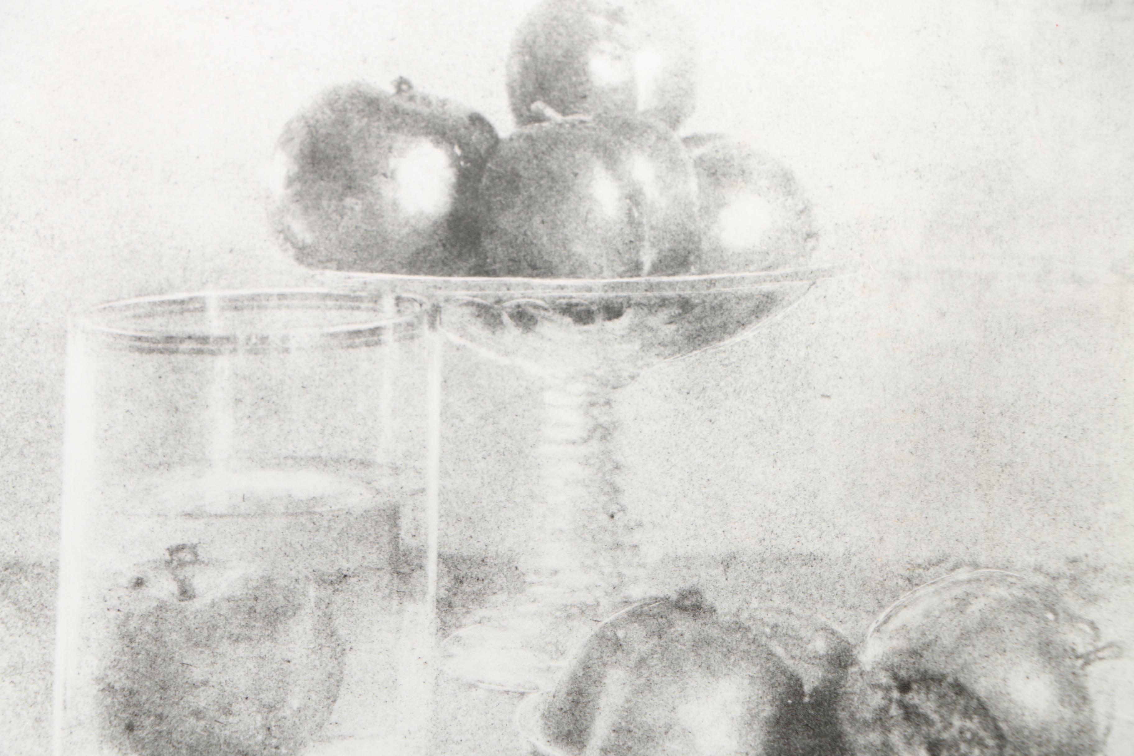 Photographic Copies of Stefan Jasienski Bromoil Prints