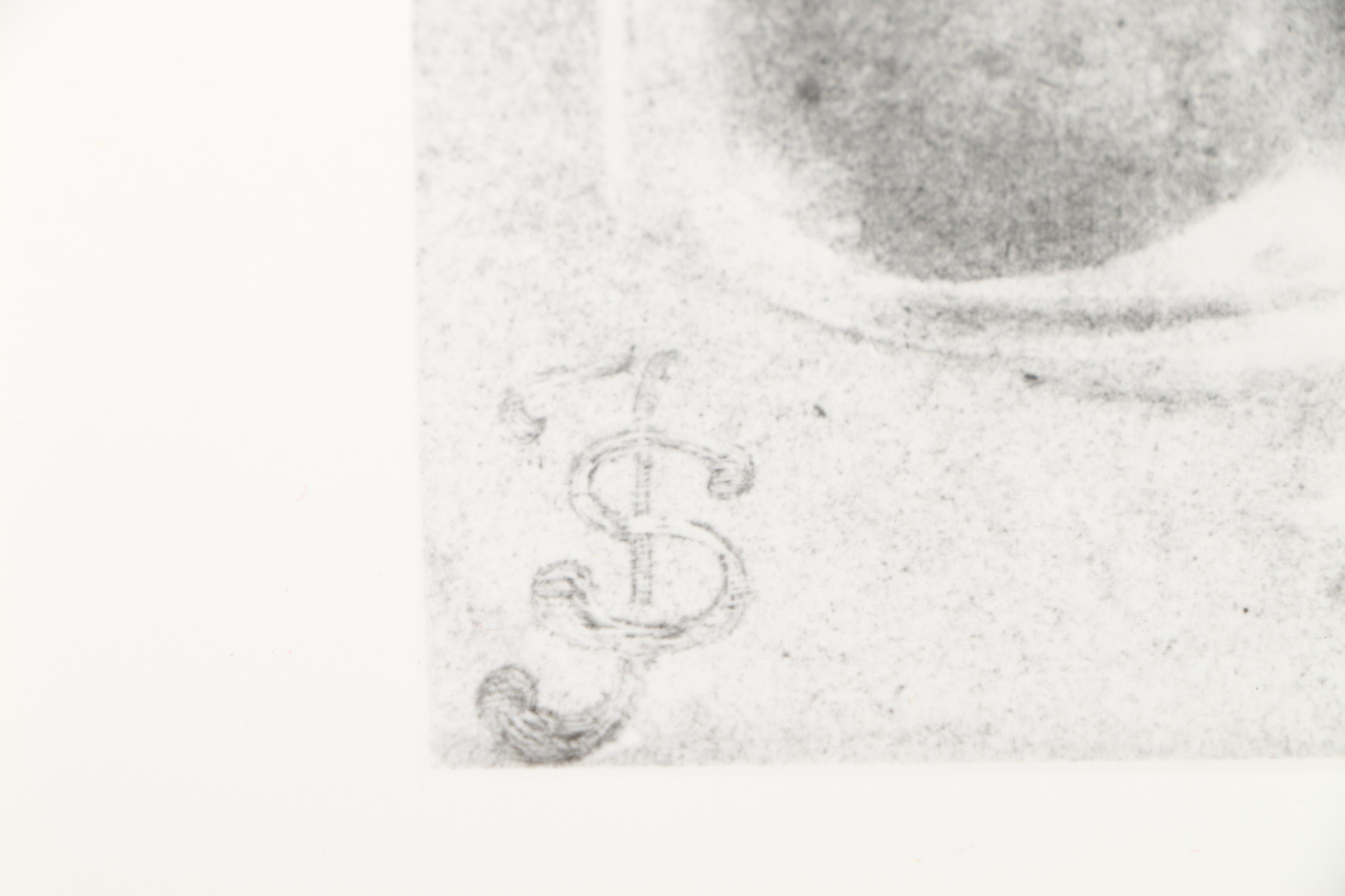 Photographic Copies of Stefan Jasienski Bromoil Prints