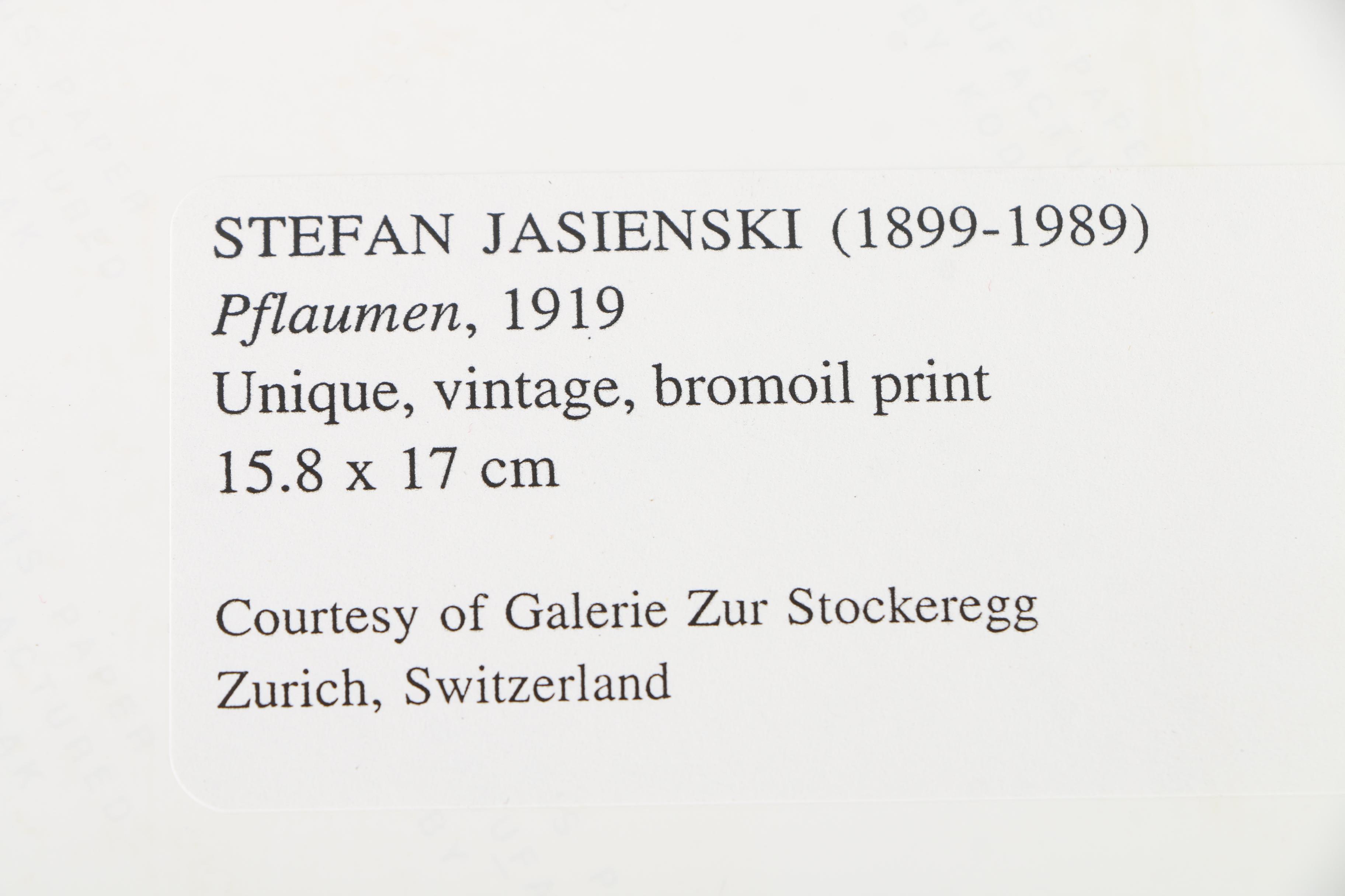 Photographic Copies of Stefan Jasienski Bromoil Prints