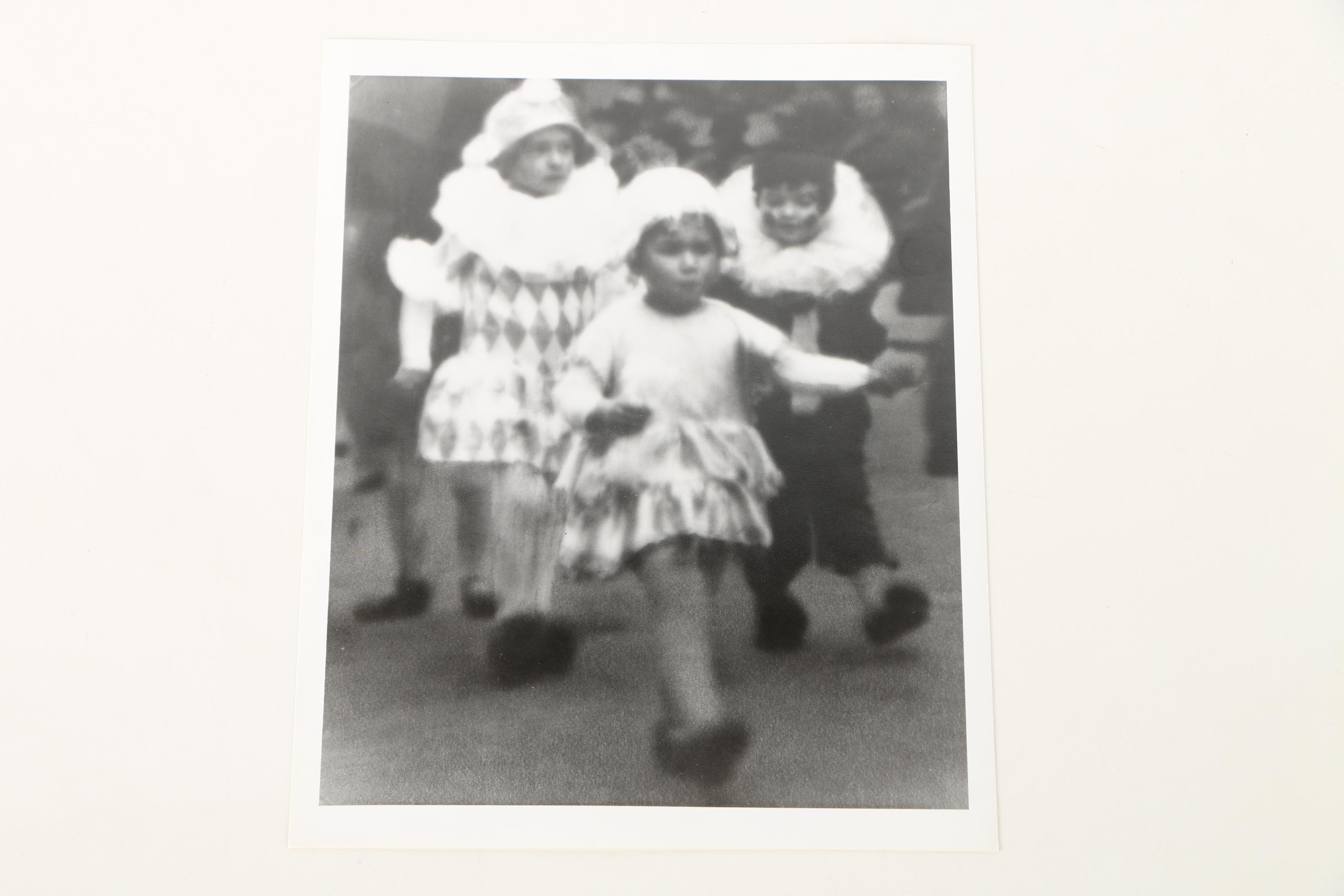 Photographic Copies of Stefan Jasienski Bromoil Prints