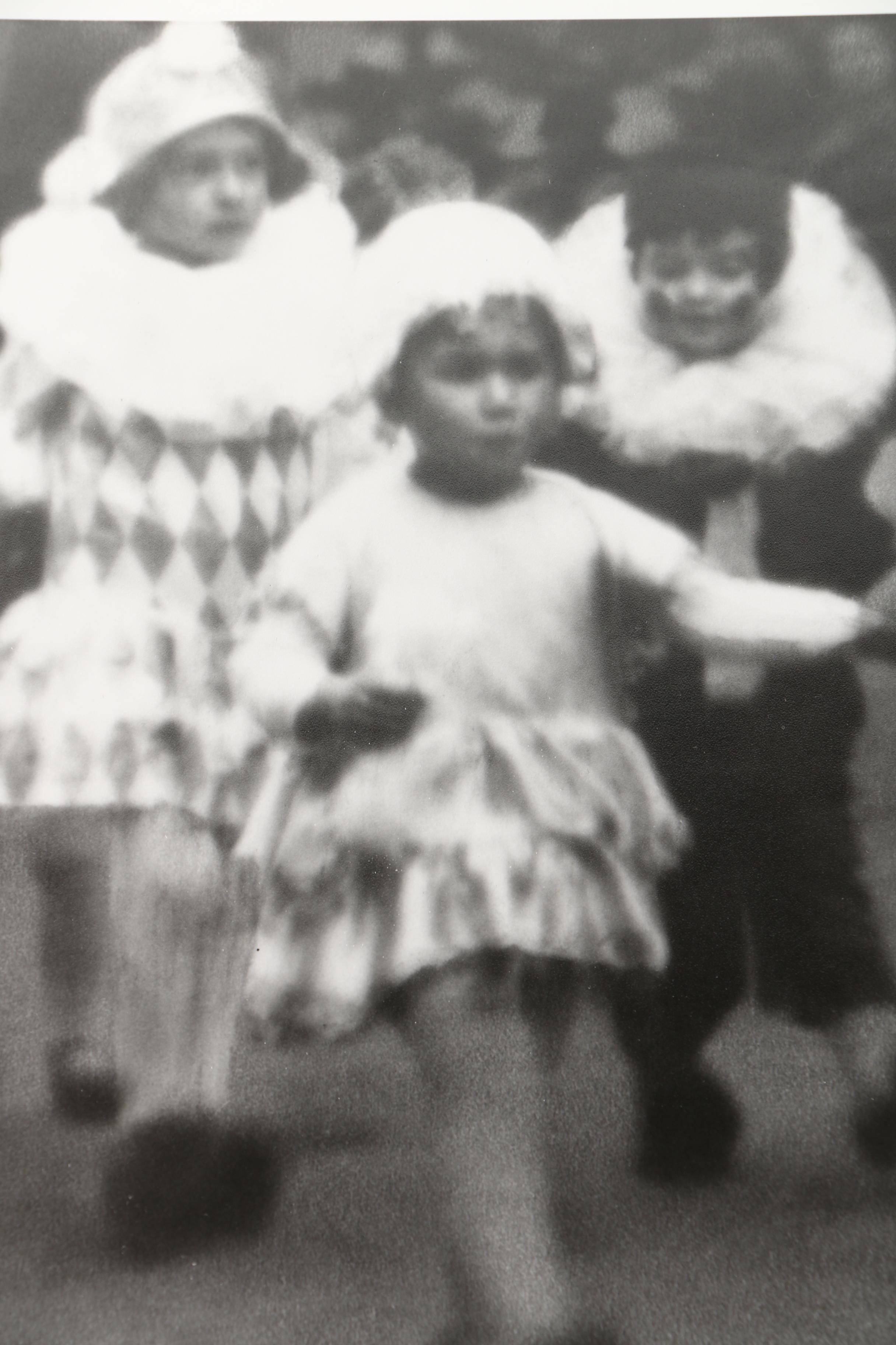 Photographic Copies of Stefan Jasienski Bromoil Prints