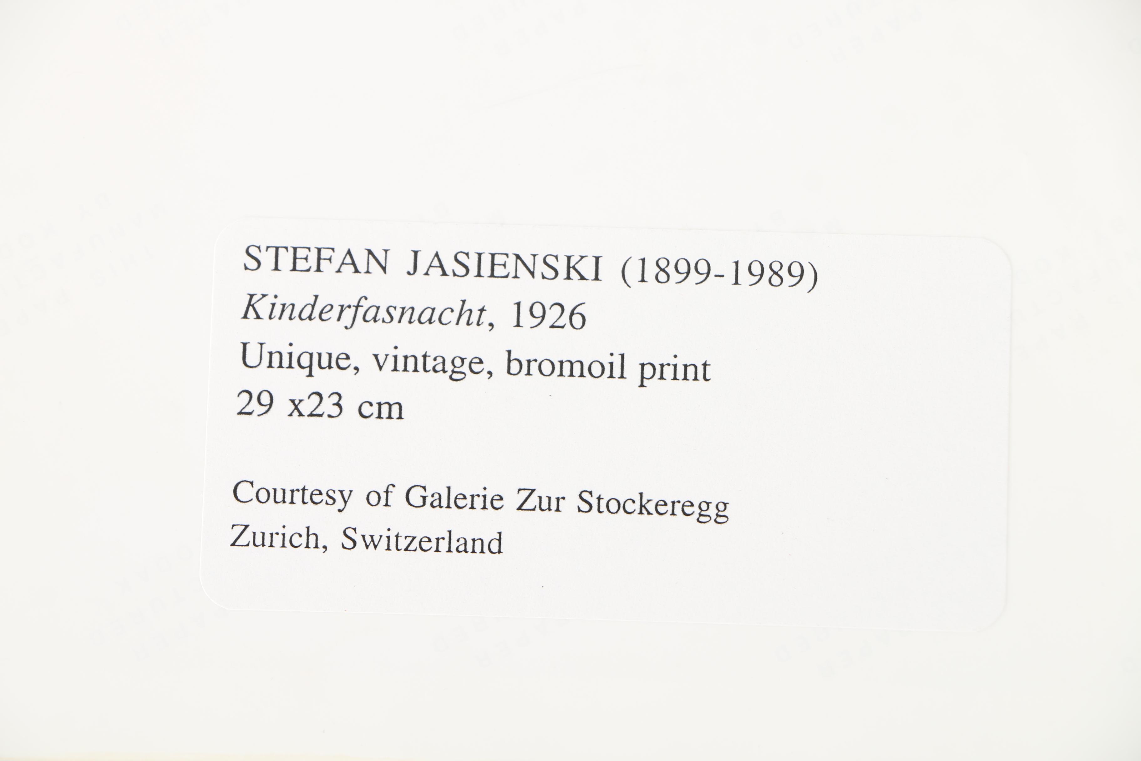 Photographic Copies of Stefan Jasienski Bromoil Prints