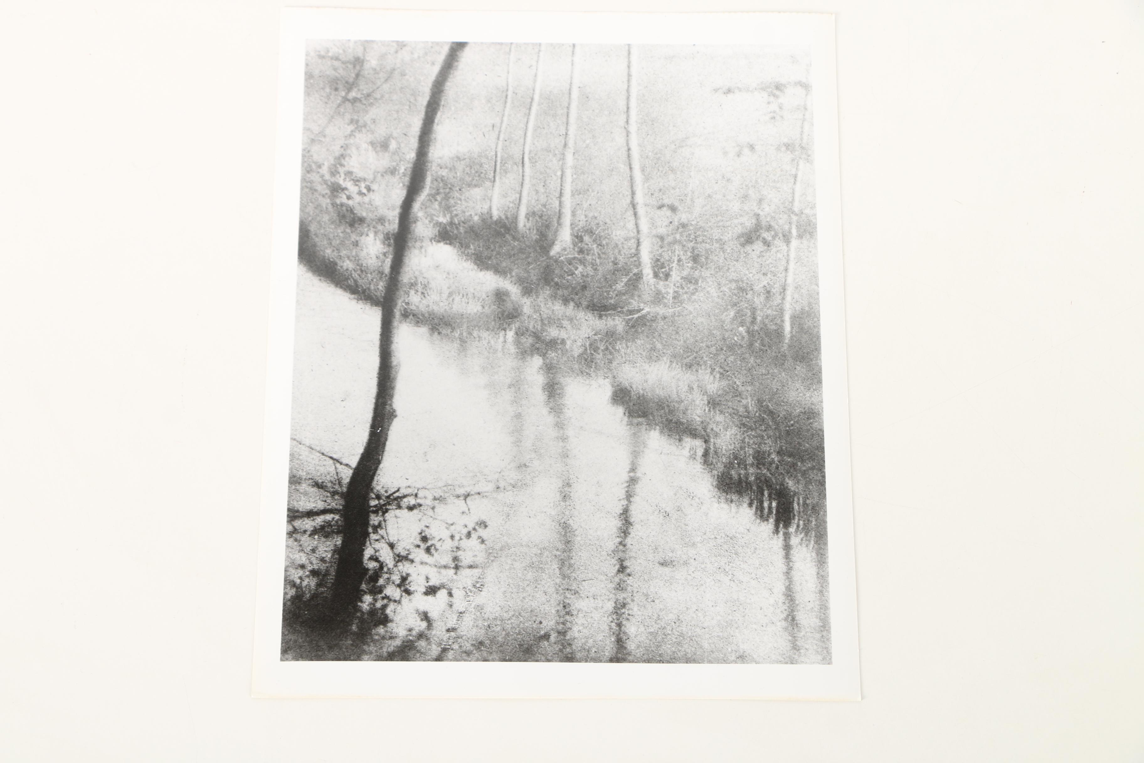 Photographic Copies of Stefan Jasienski Bromoil Prints