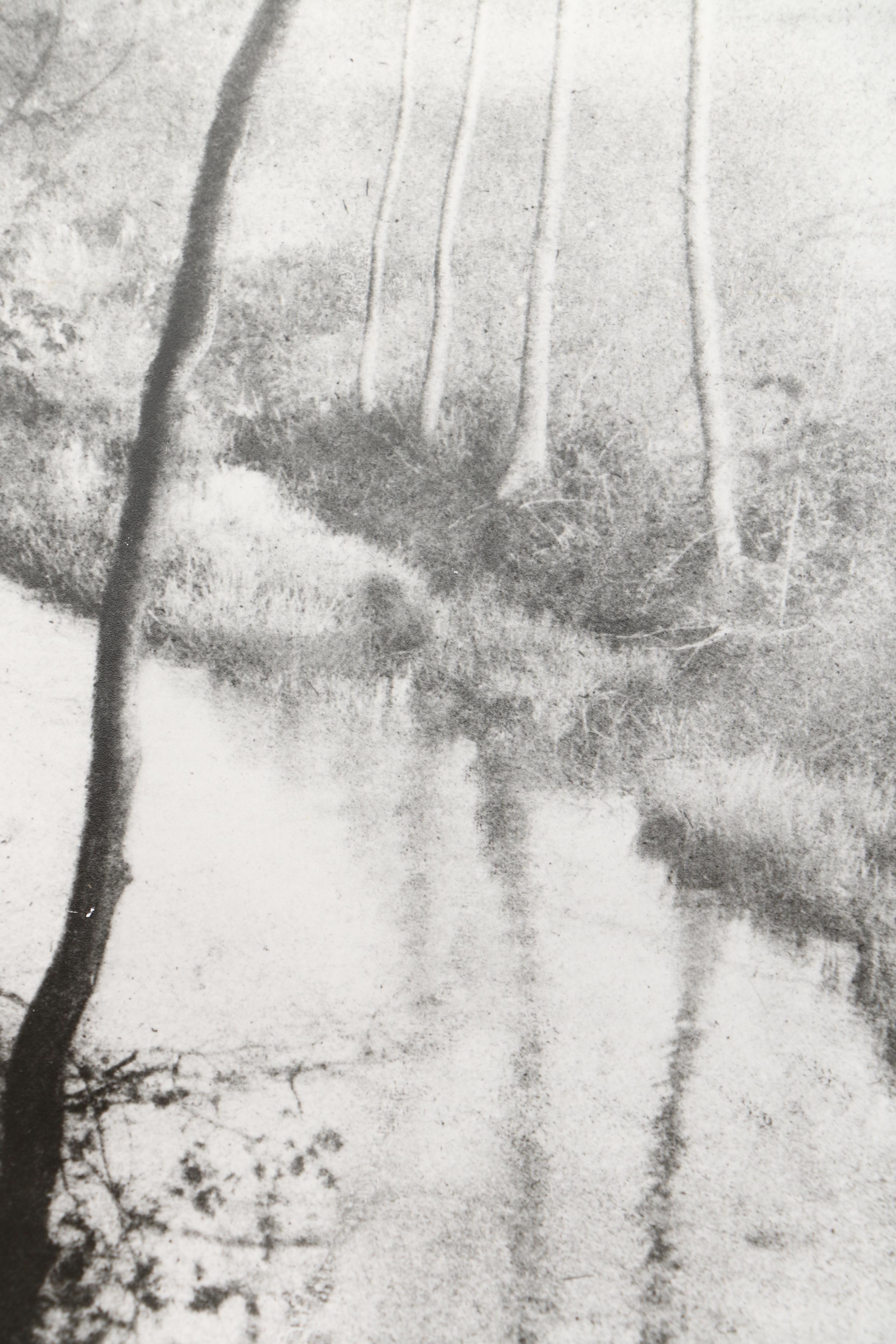Photographic Copies of Stefan Jasienski Bromoil Prints