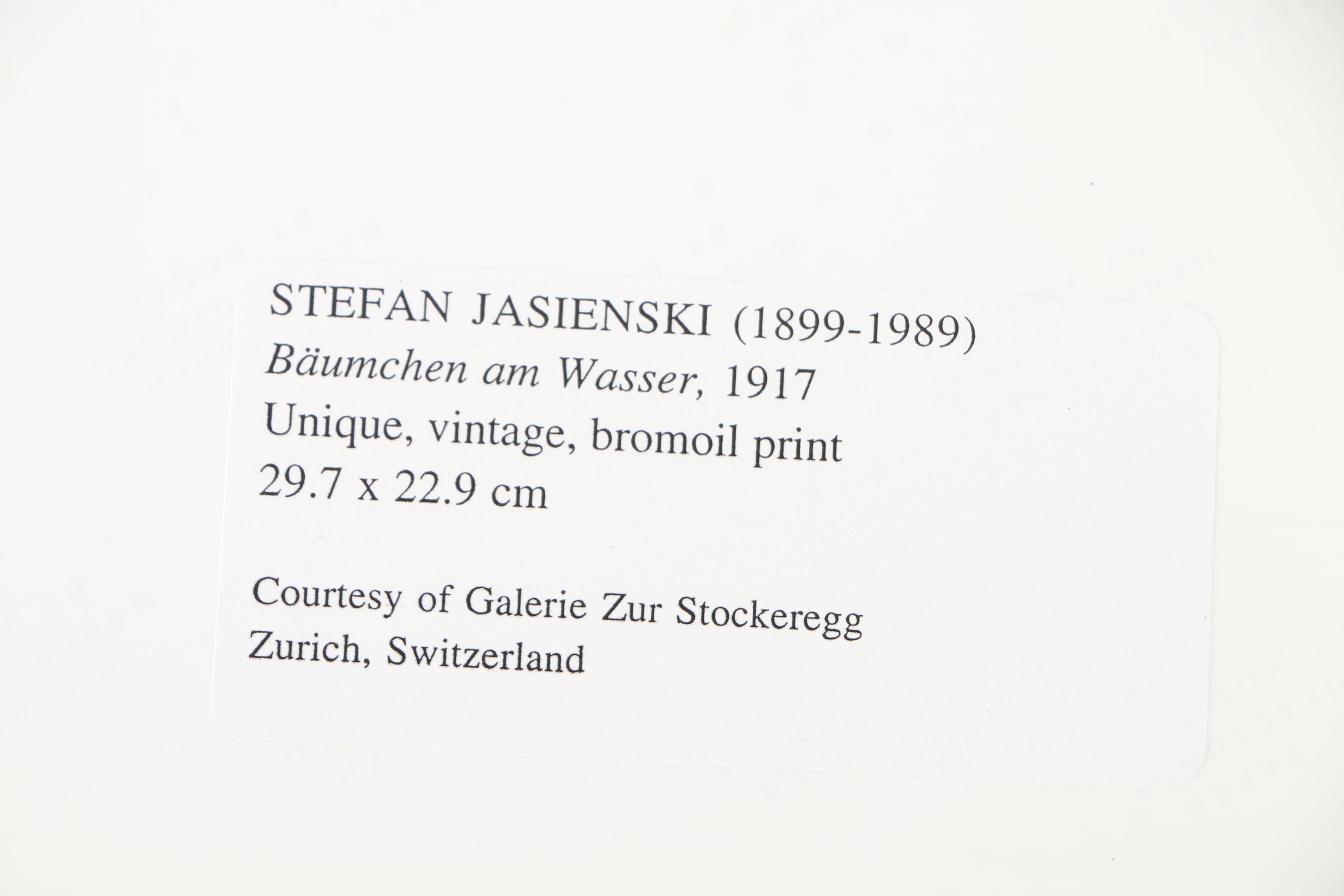 Photographic Copies of Stefan Jasienski Bromoil Prints