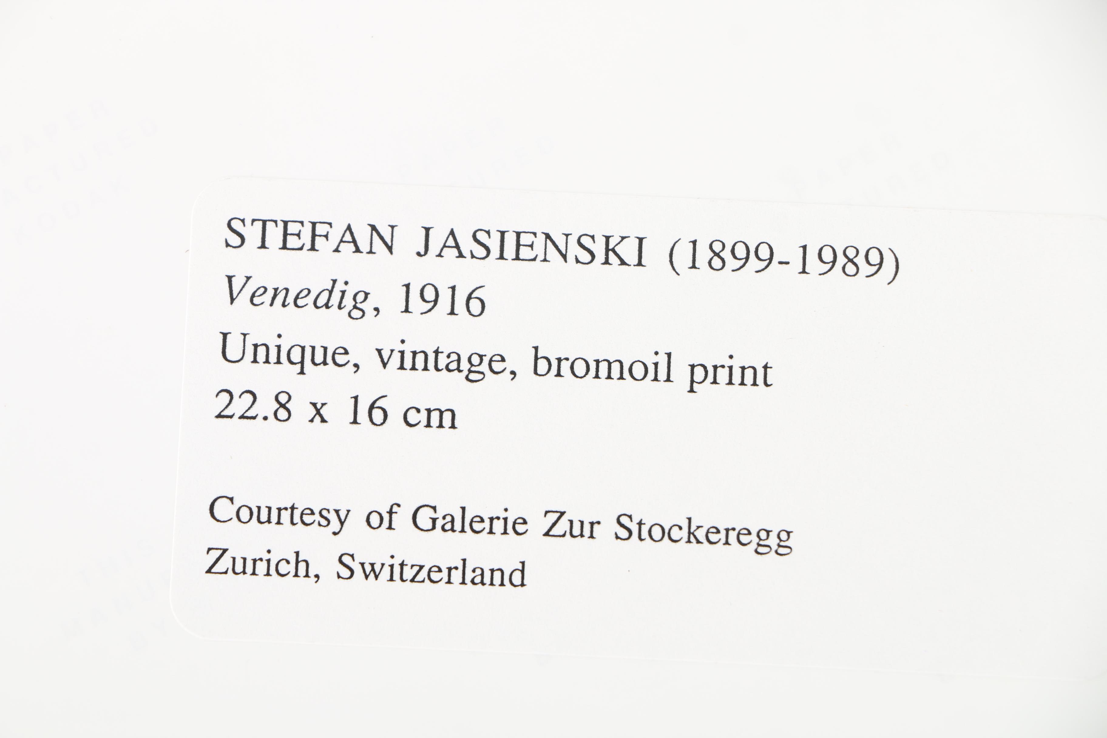 Photographic Copies of Stefan Jasienski Bromoil Prints