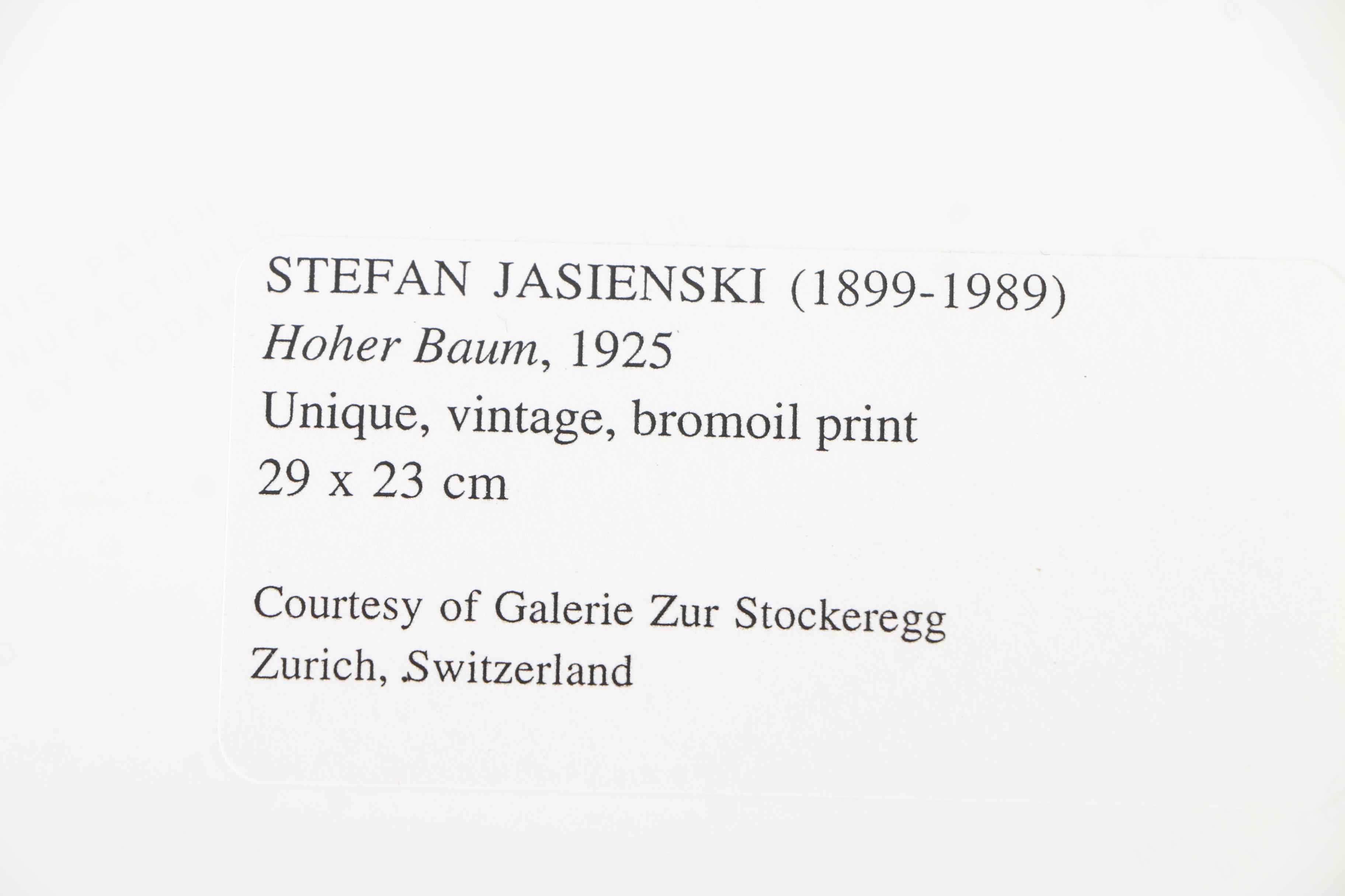 Photographic Copies of Stefan Jasienski Bromoil Prints