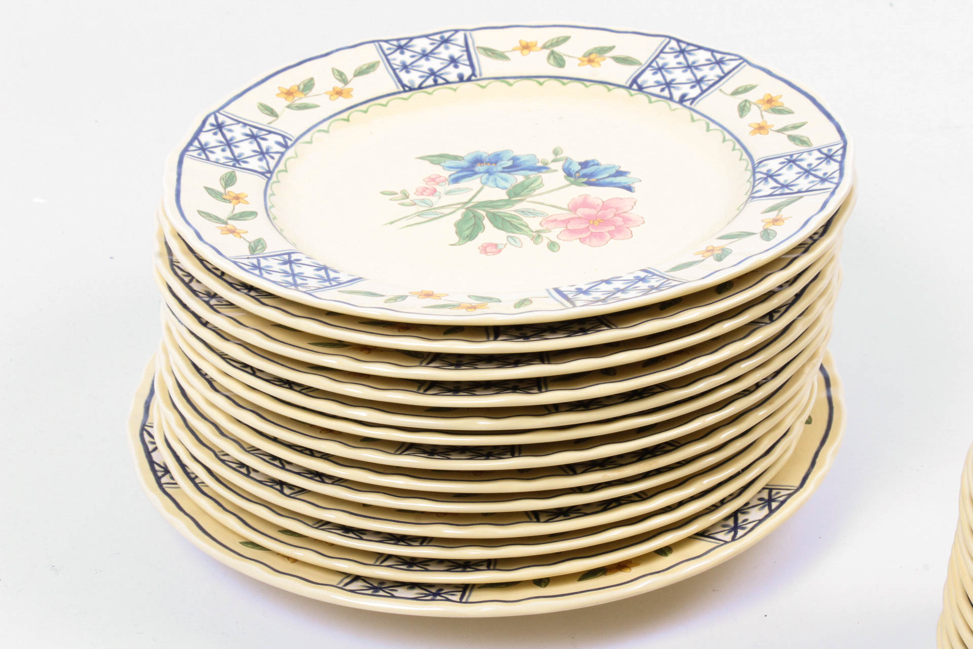 Mikasa Country Classics "Le Jardin" Dinnerware