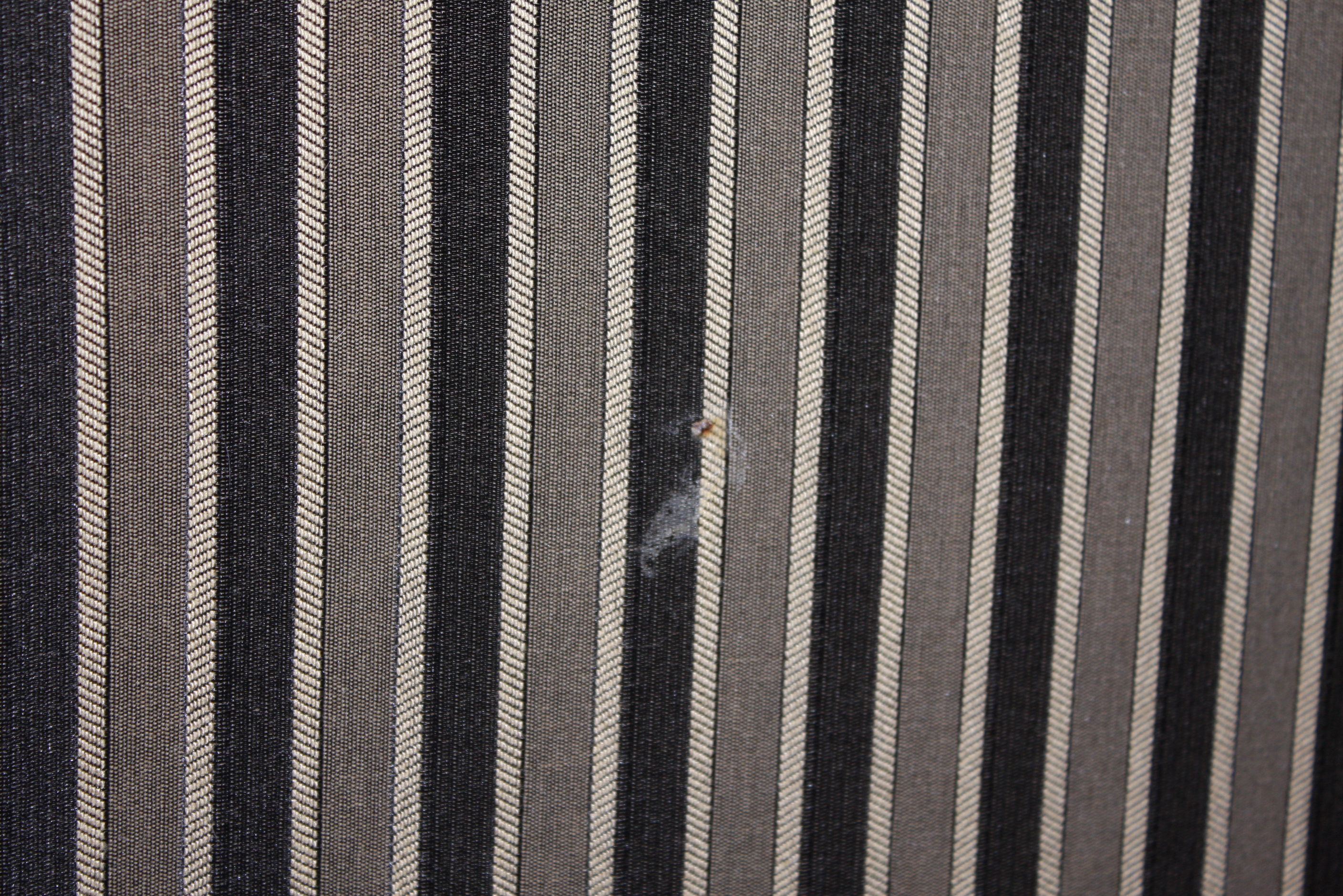 Striped Sleeper Sofa