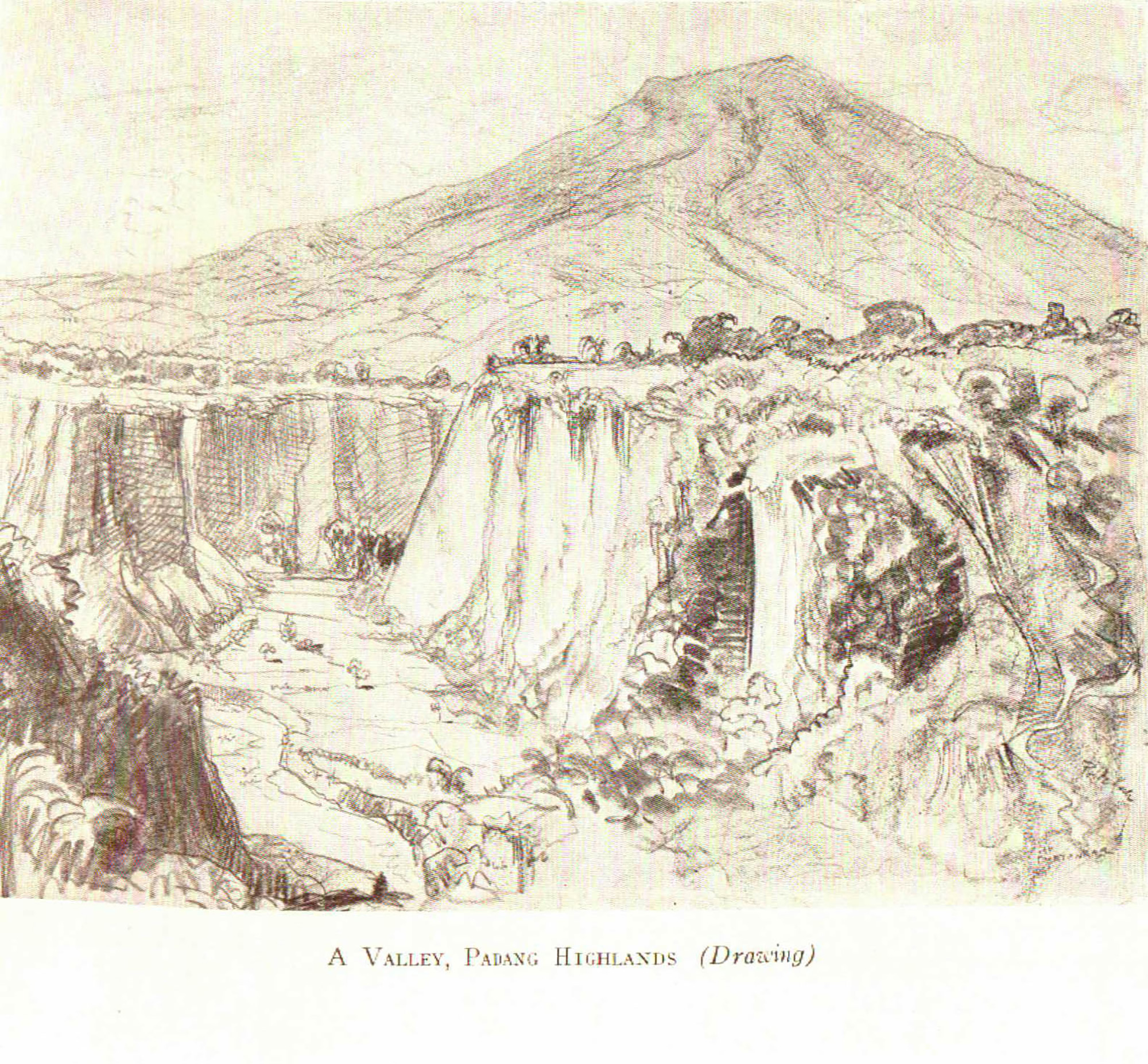 1927 "An Artist In The Tropics" by Jan Poortenaar