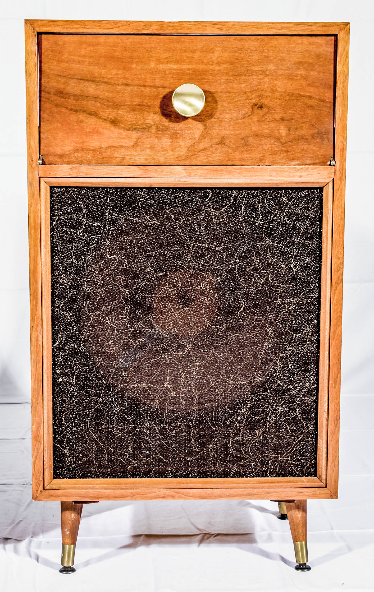 Mid-Century Speakers with Component Area