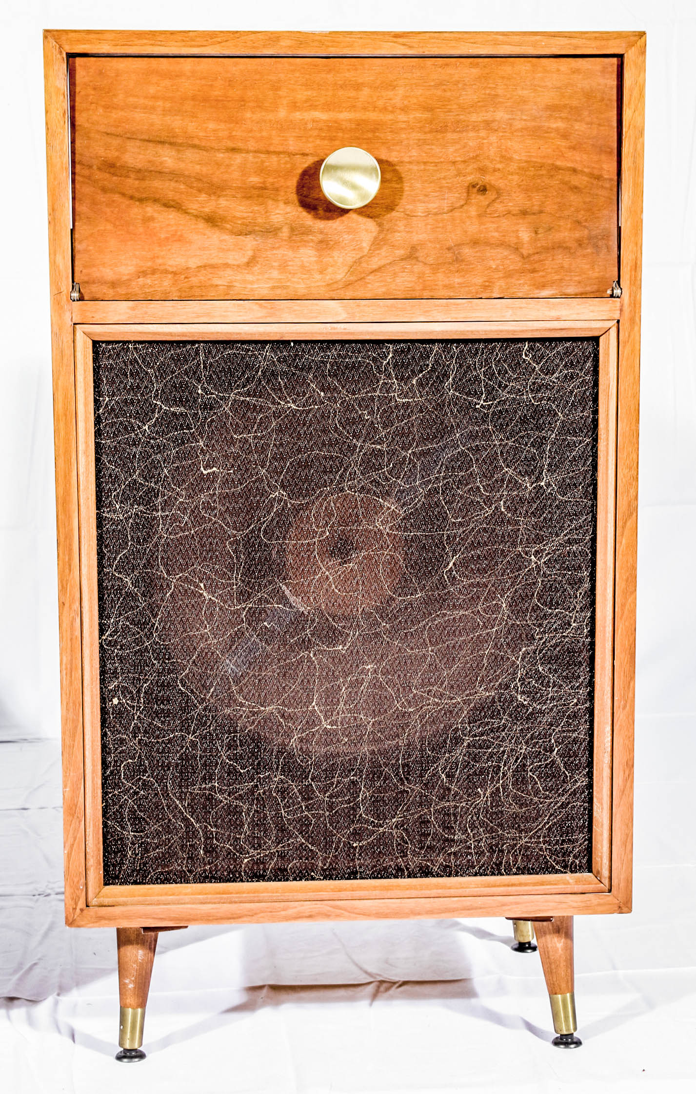 Mid-Century Speakers with Component Area