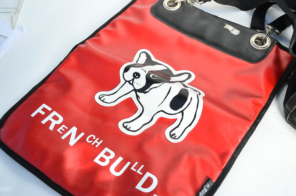 Kwigy Bo Quilted Pet Carrier