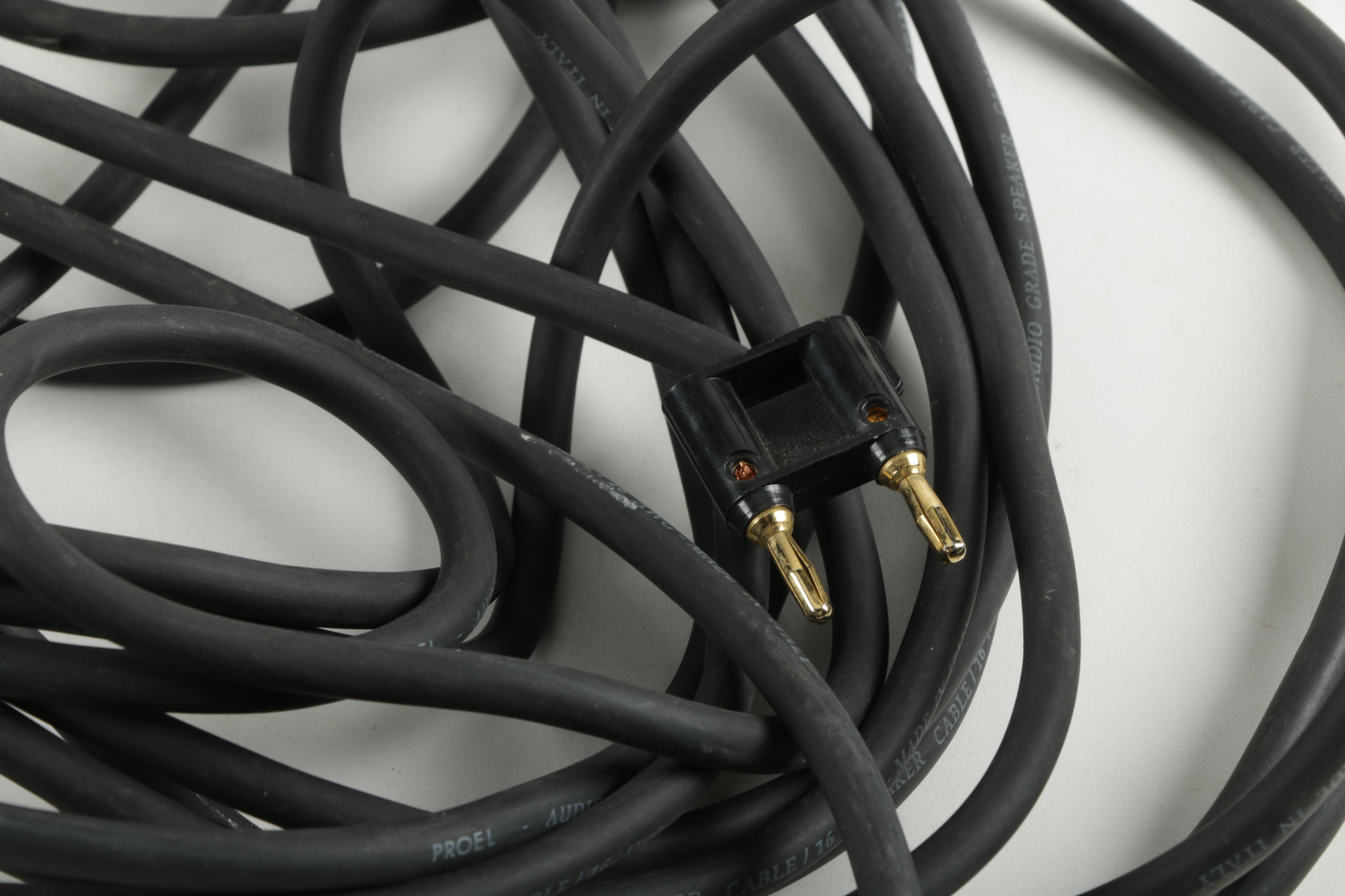 Shure SM58 Microphone and Cables