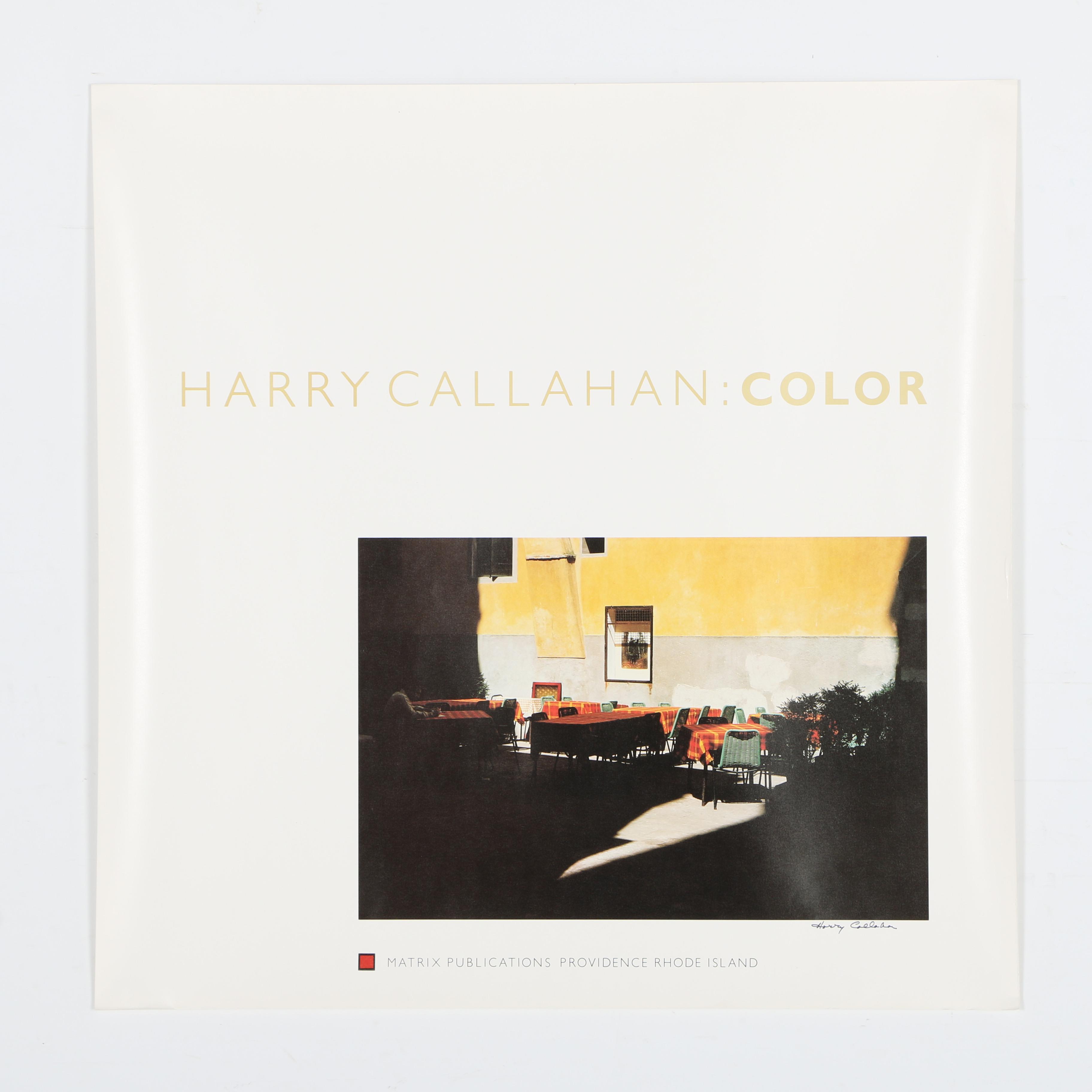 Signed Offset Lithograph Poster for 1980 Book, "Harry Callahan: Color"