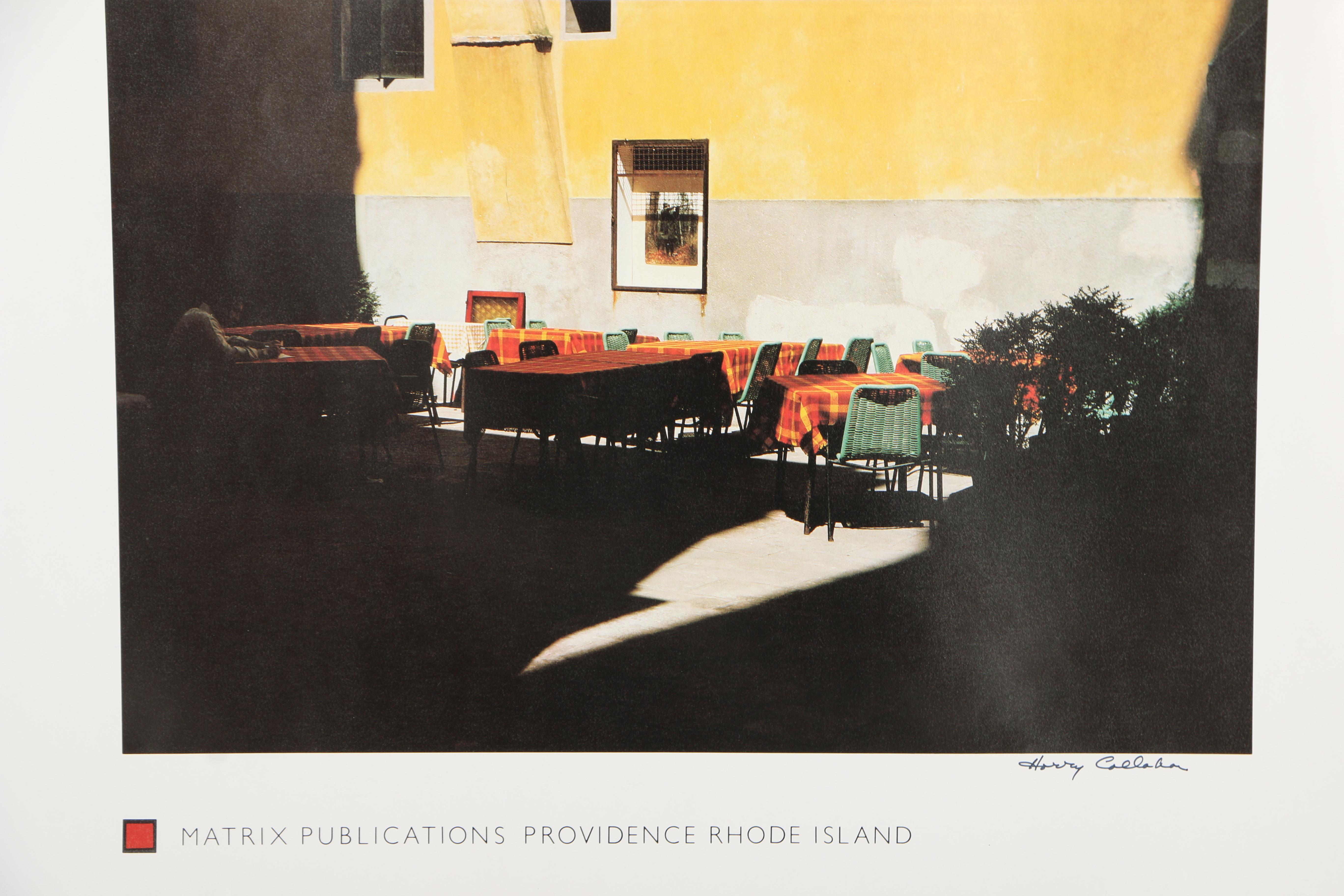 Signed Offset Lithograph Poster for 1980 Book, "Harry Callahan: Color"