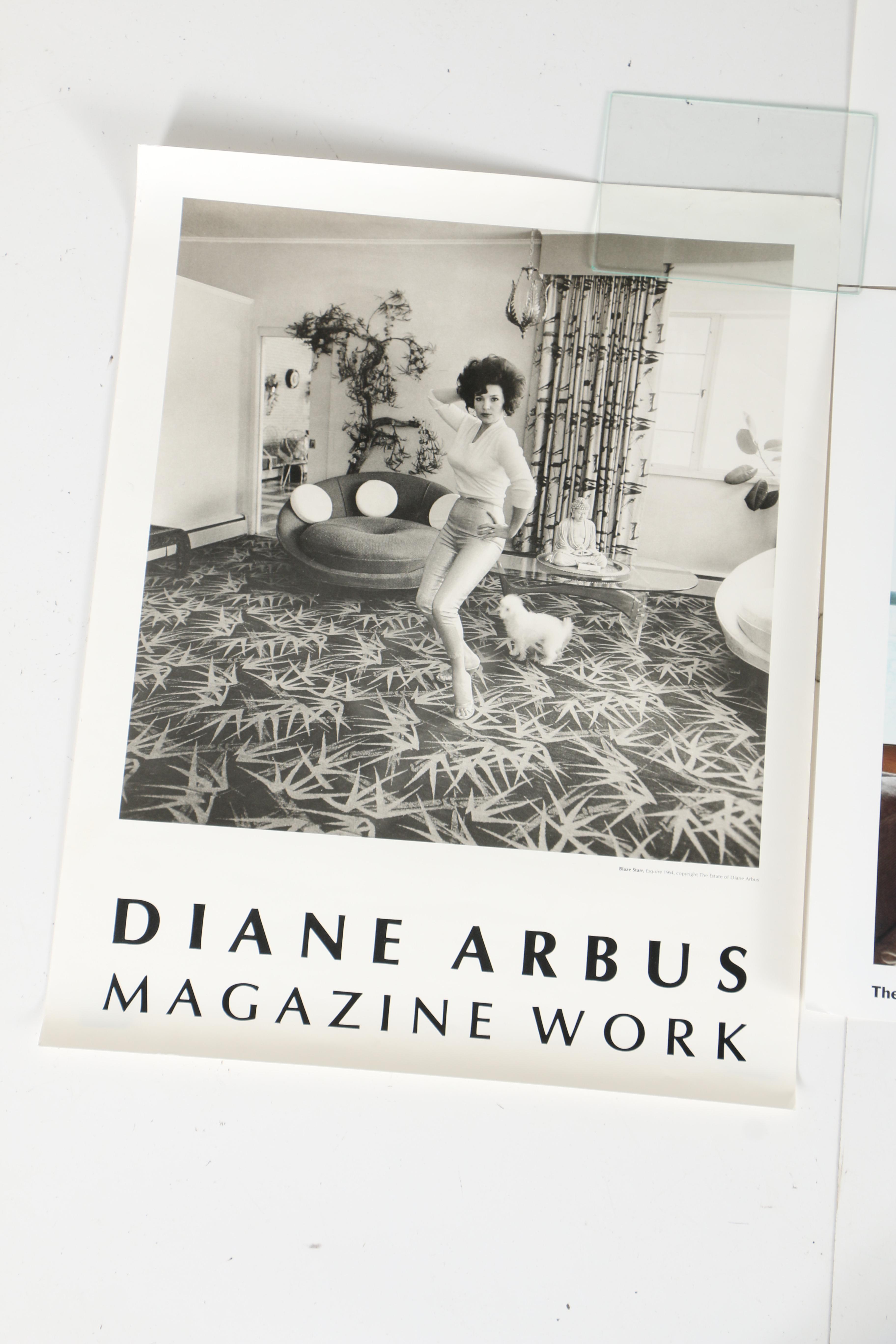 Offset Lithograph Museum Photography Exhibition Posters Including Diane Arbus