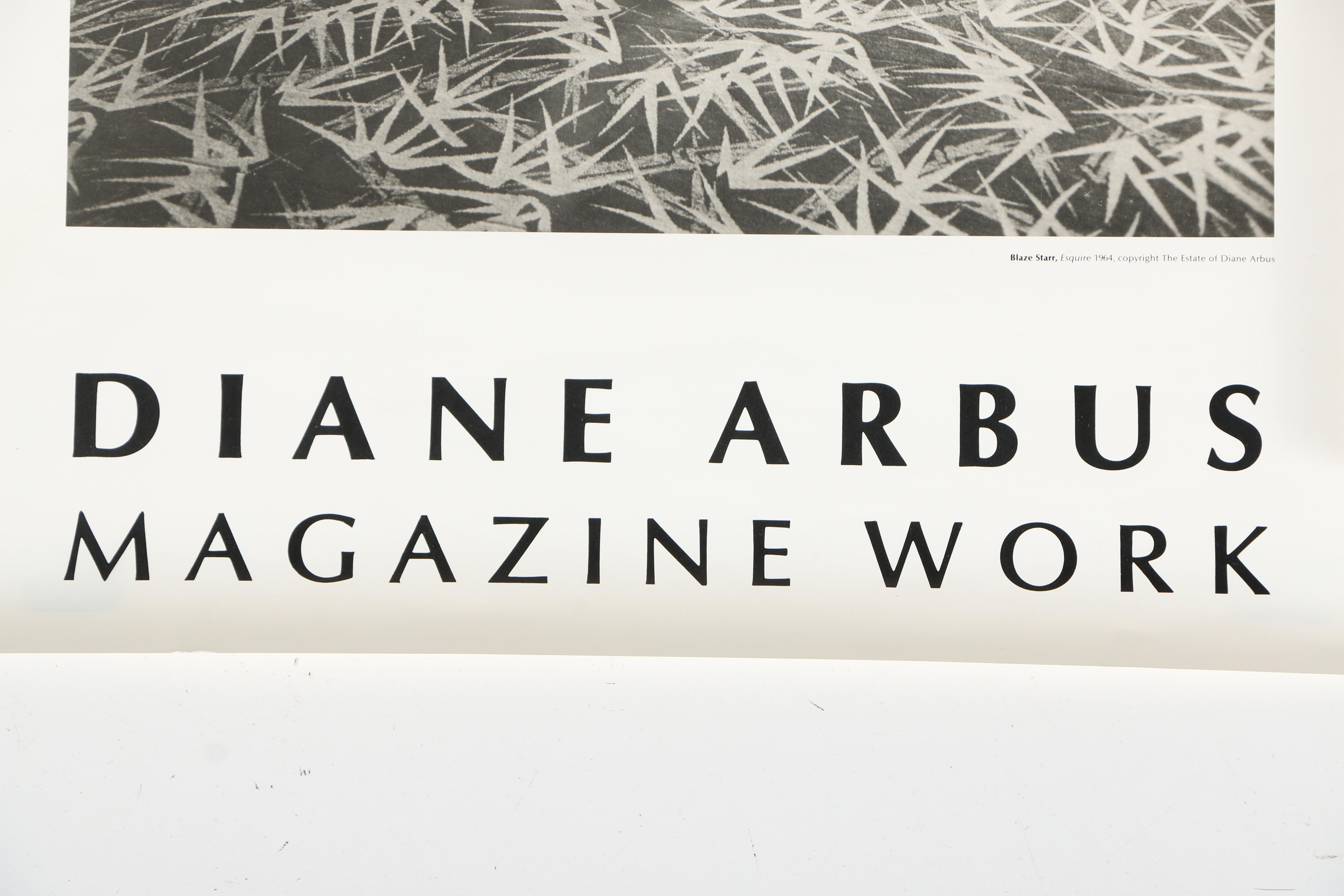 Offset Lithograph Museum Photography Exhibition Posters Including Diane Arbus