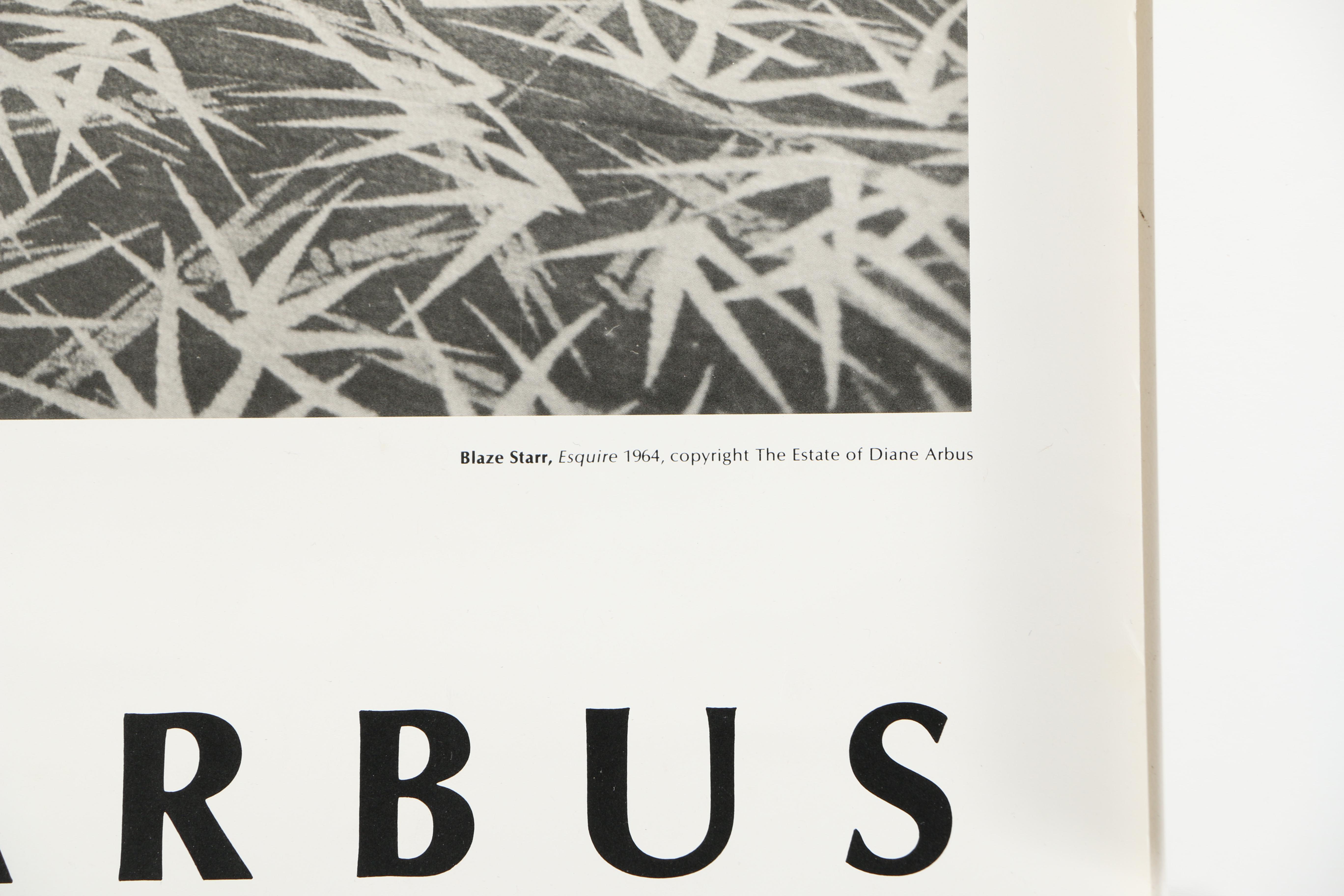 Offset Lithograph Museum Photography Exhibition Posters Including Diane Arbus