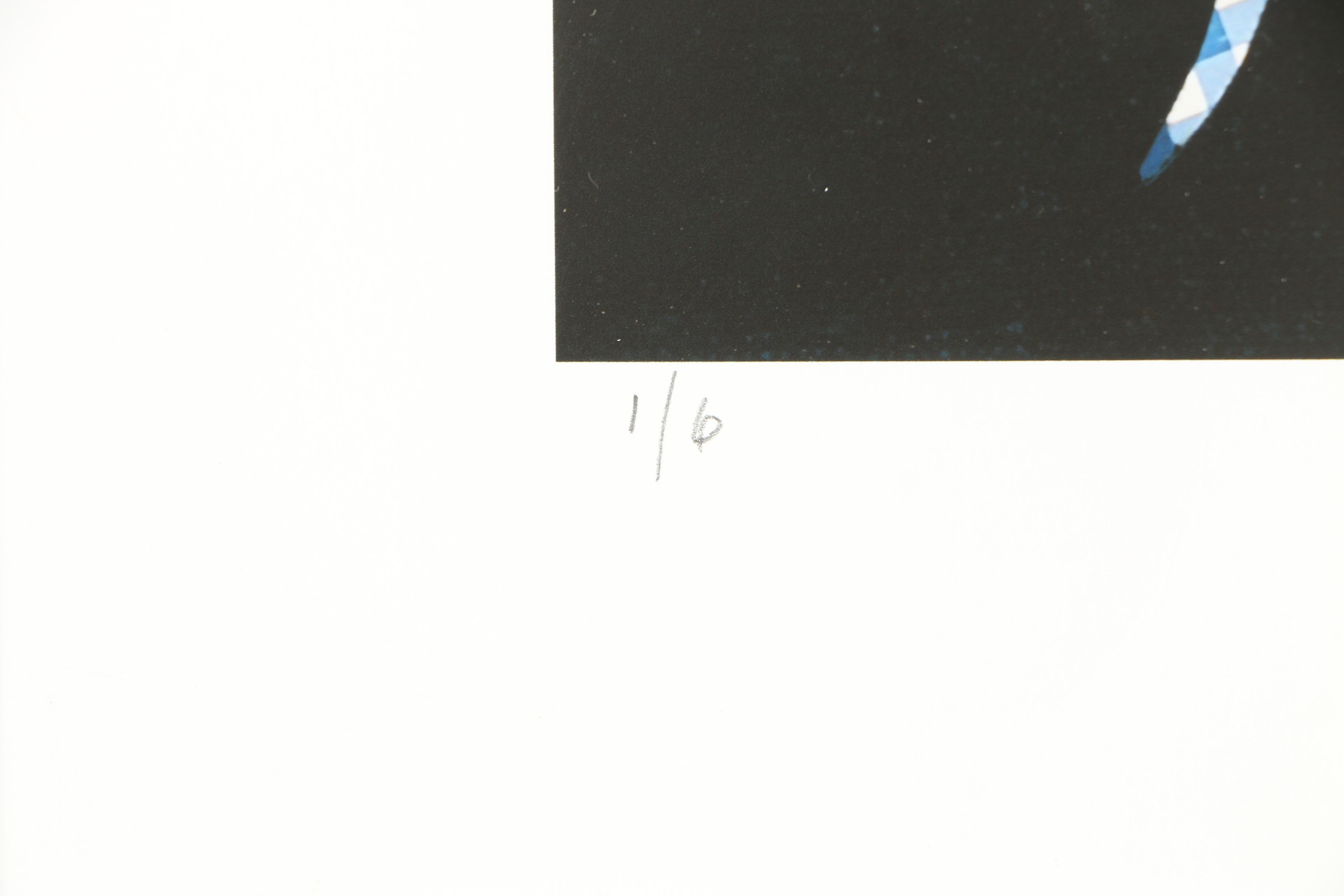 Nancy A. Jung Limited Edition Giclee Print "A Blue Alpaca"