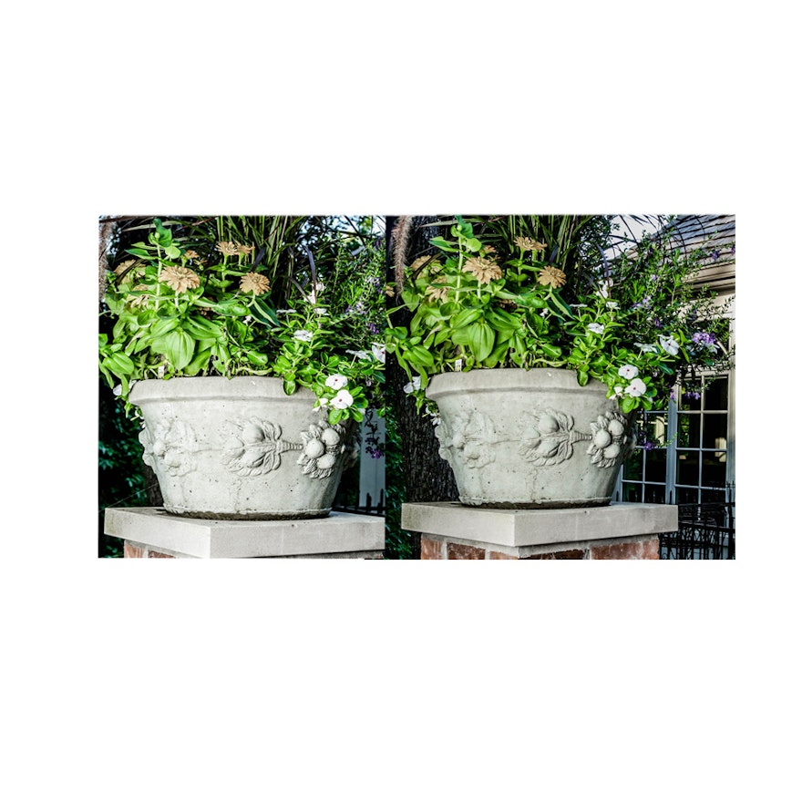 Pair of Concrete Planters