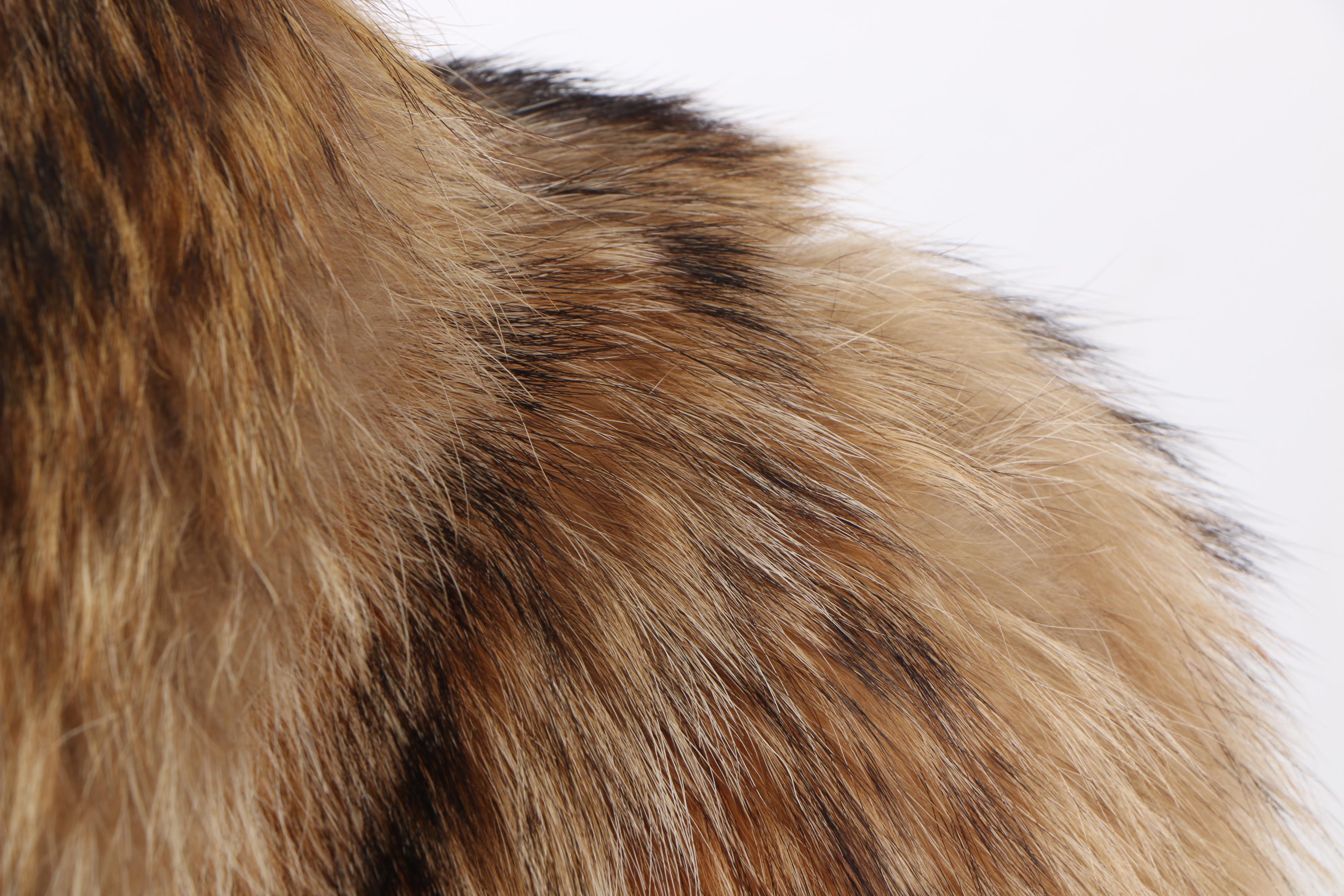 Women's Tanuki Fur Coat