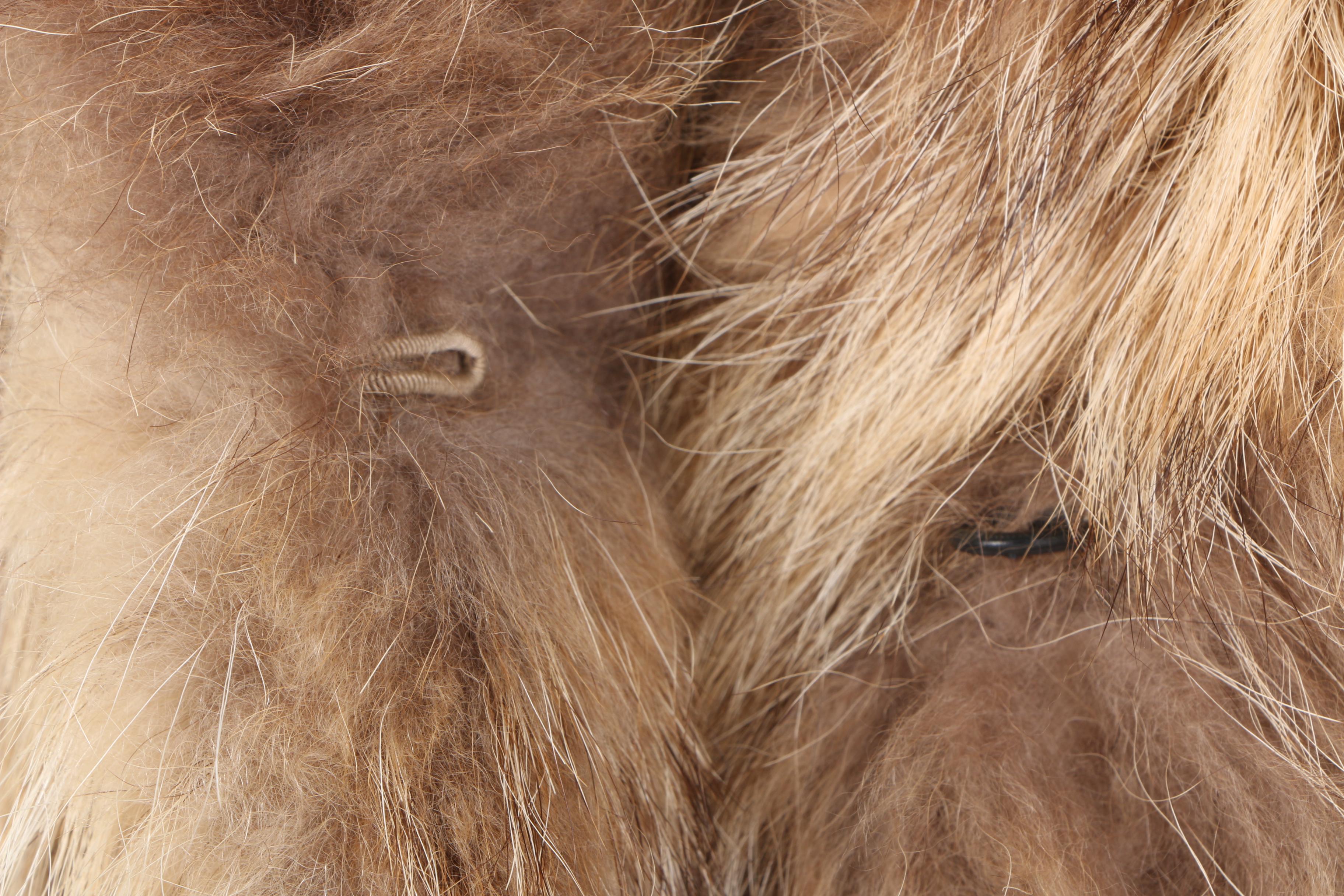 Women's Tanuki Fur Coat