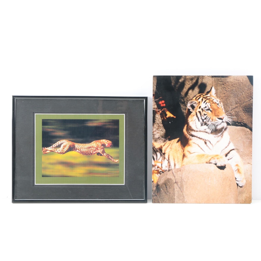 Assortment of Giclée Animal Prints