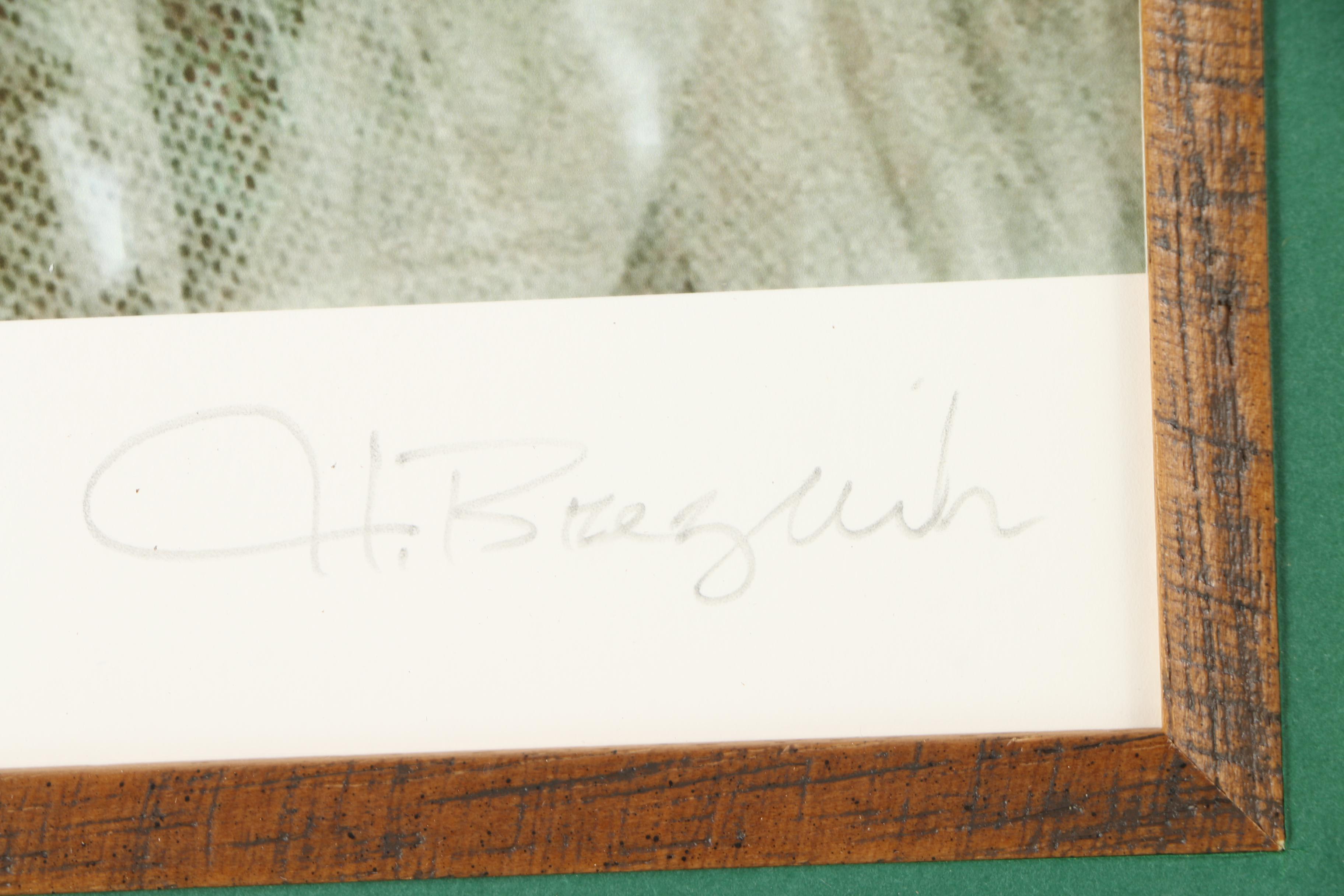 Helen Breznik 2012 Limited Edition Photographic Giclée Print on Paper "Carmella"