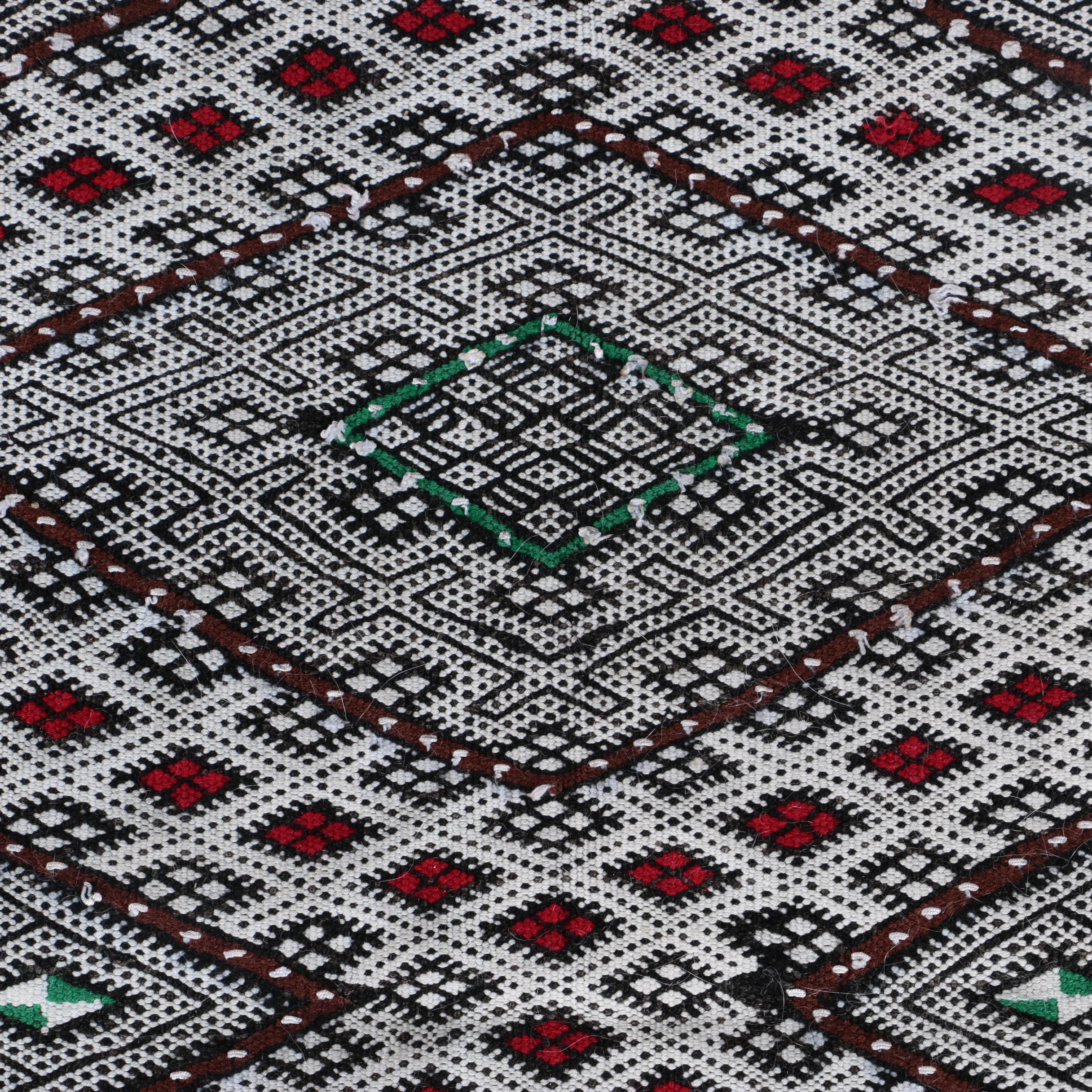 Handwoven and Embroidered Moroccan Area Rug and Throw Pillow