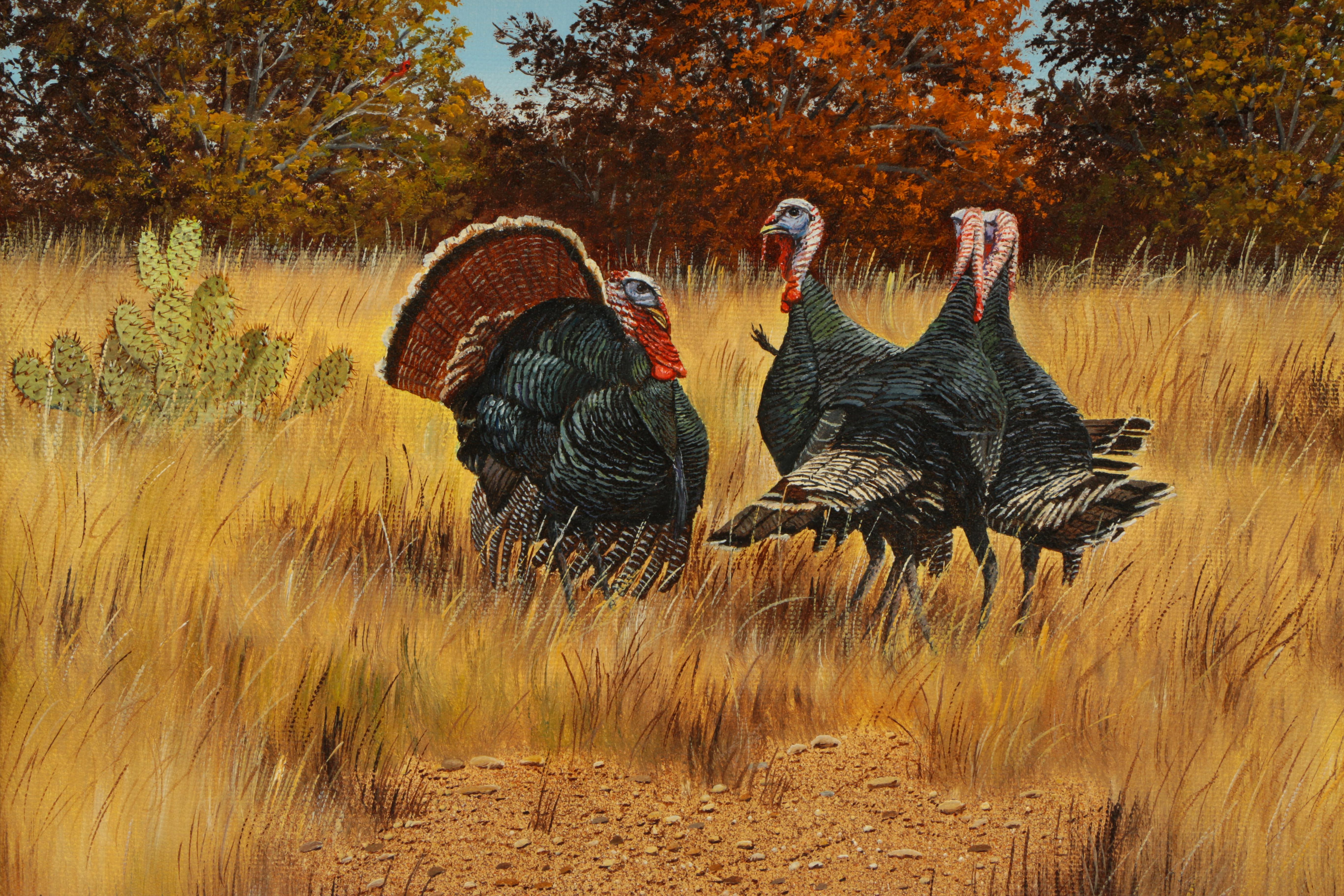 Manuel Garza Oil Painting on Canvas of Wild Turkeys in a Field of Yellow Grass