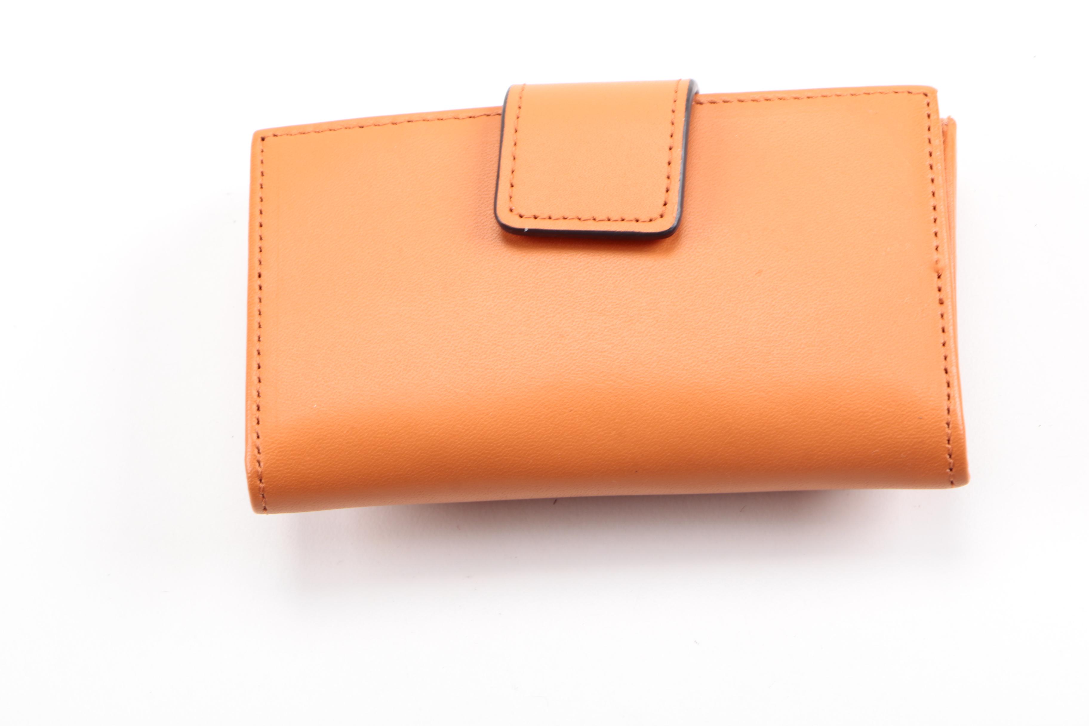 Ann Taylor and Astore Handbags