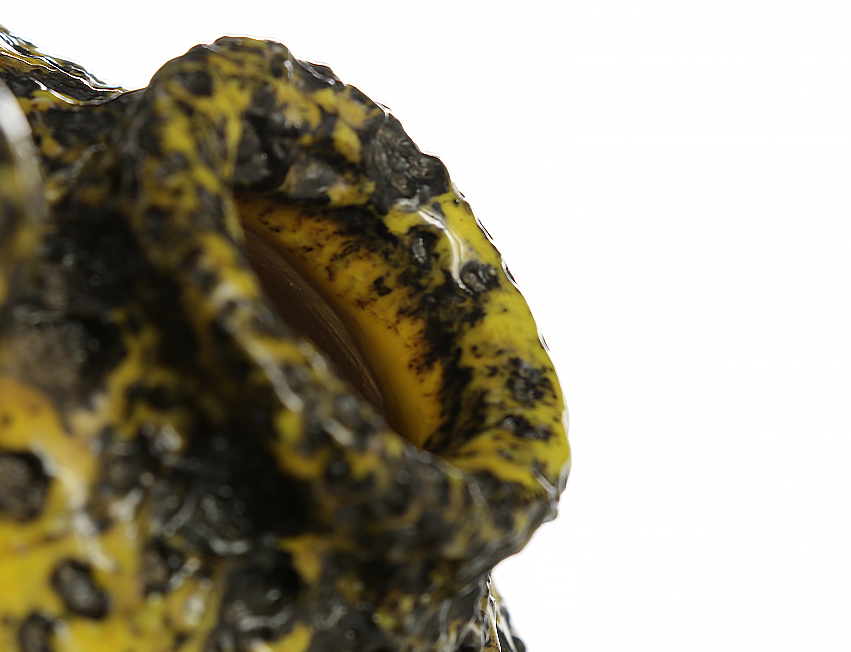 Silberdistel Handled Fat Lava Vase