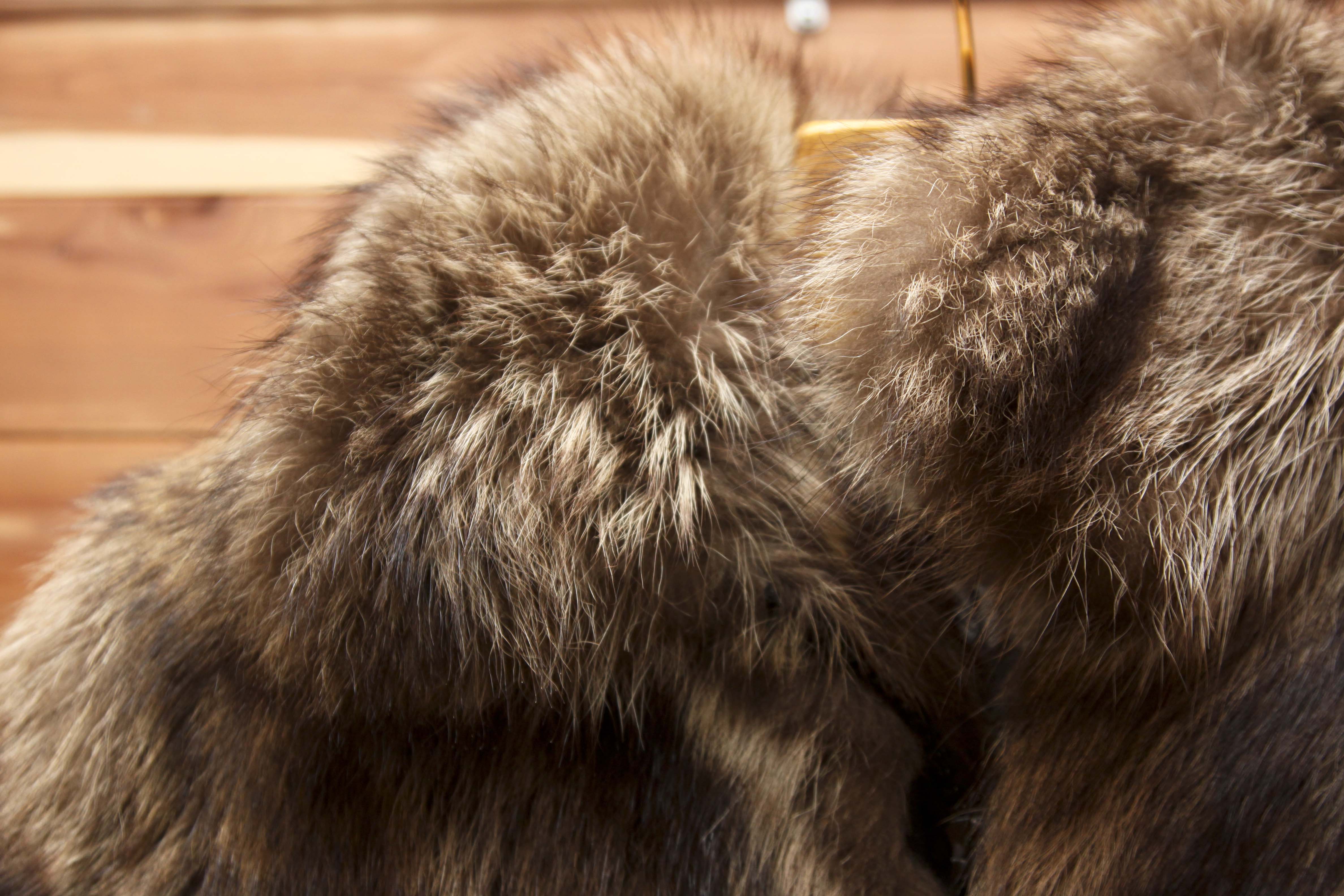 Weiss Raccoon Fur Jacket