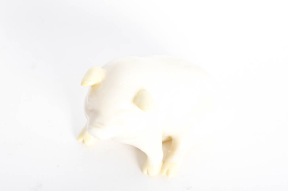 Assortment of Decorative Items including Aynsley China Plate and Belleek Pig