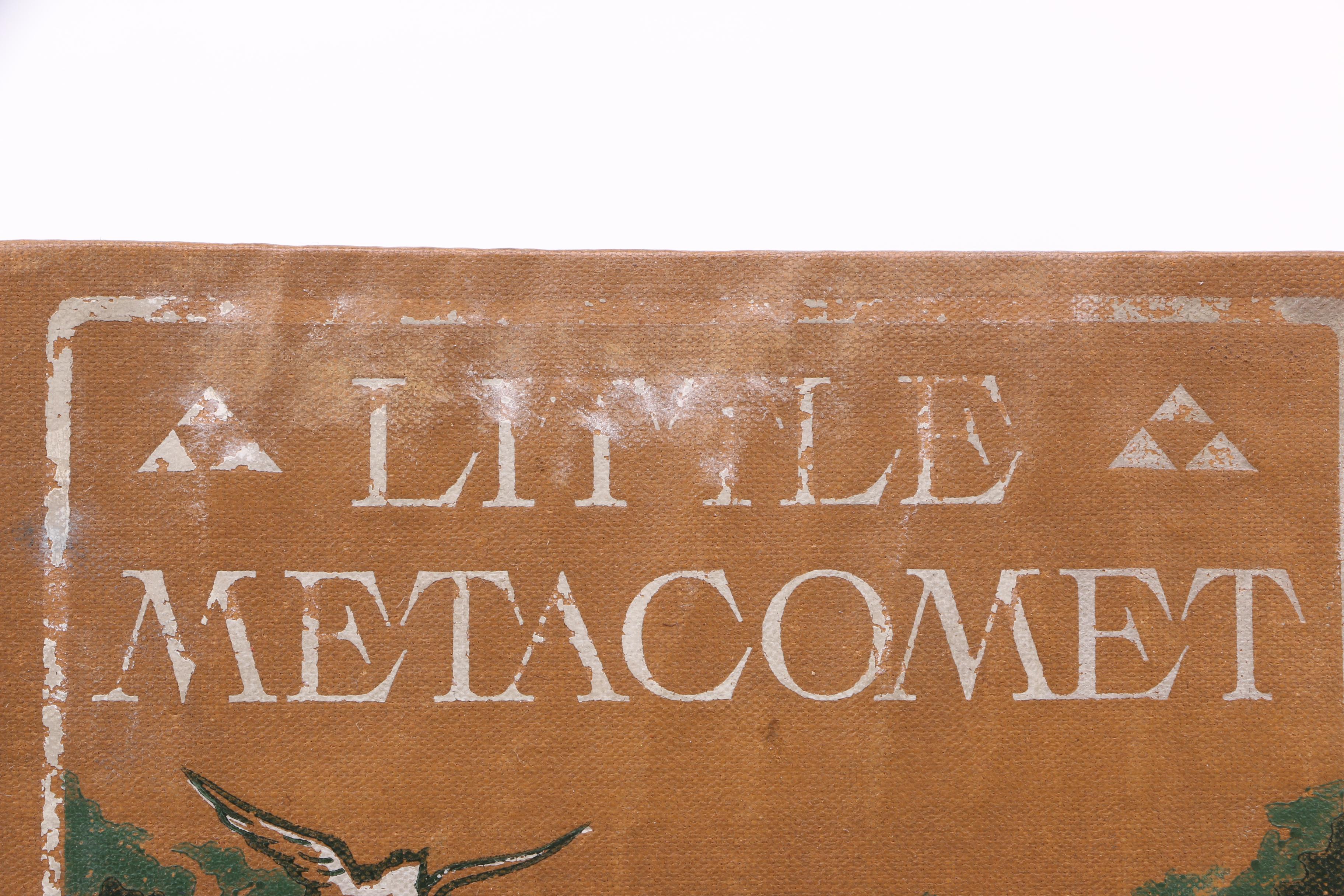 Assorted Fiction and Non-Fiction Books Including Bird Watching Guides