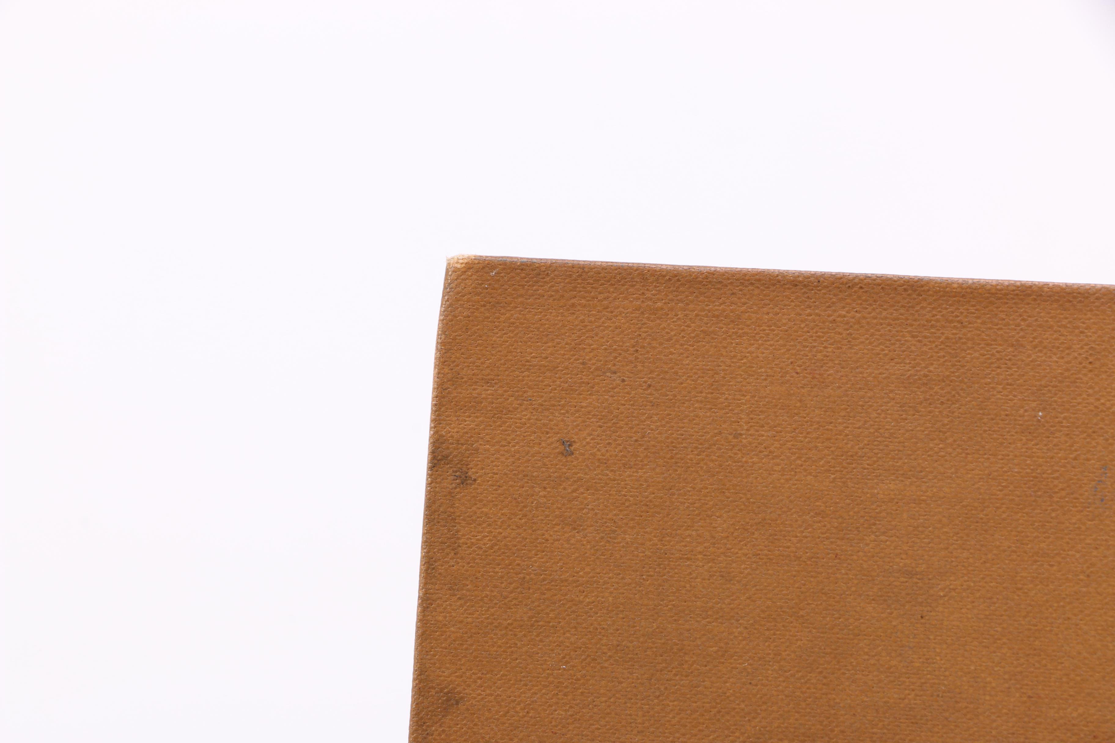 Assorted Fiction and Non-Fiction Books Including Bird Watching Guides