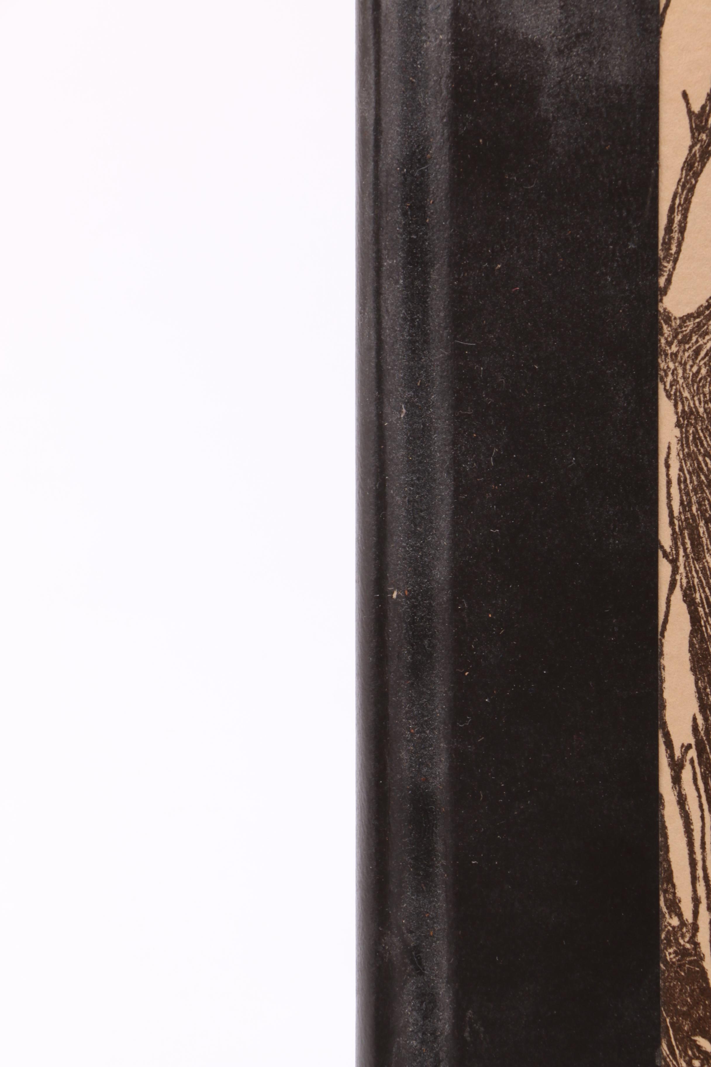 Assorted Fiction and Non-Fiction Books Including Bird Watching Guides