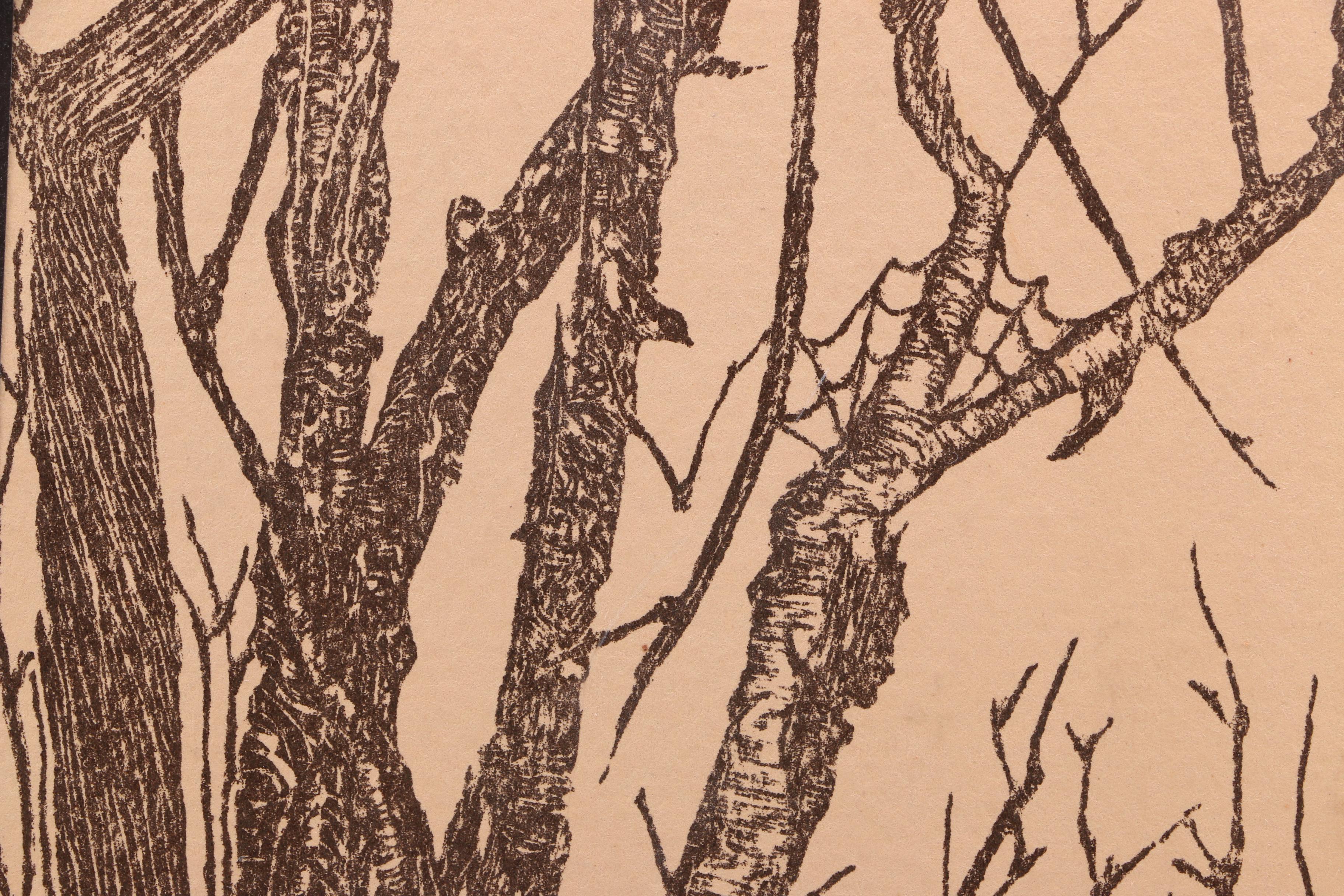 Assorted Fiction and Non-Fiction Books Including Bird Watching Guides