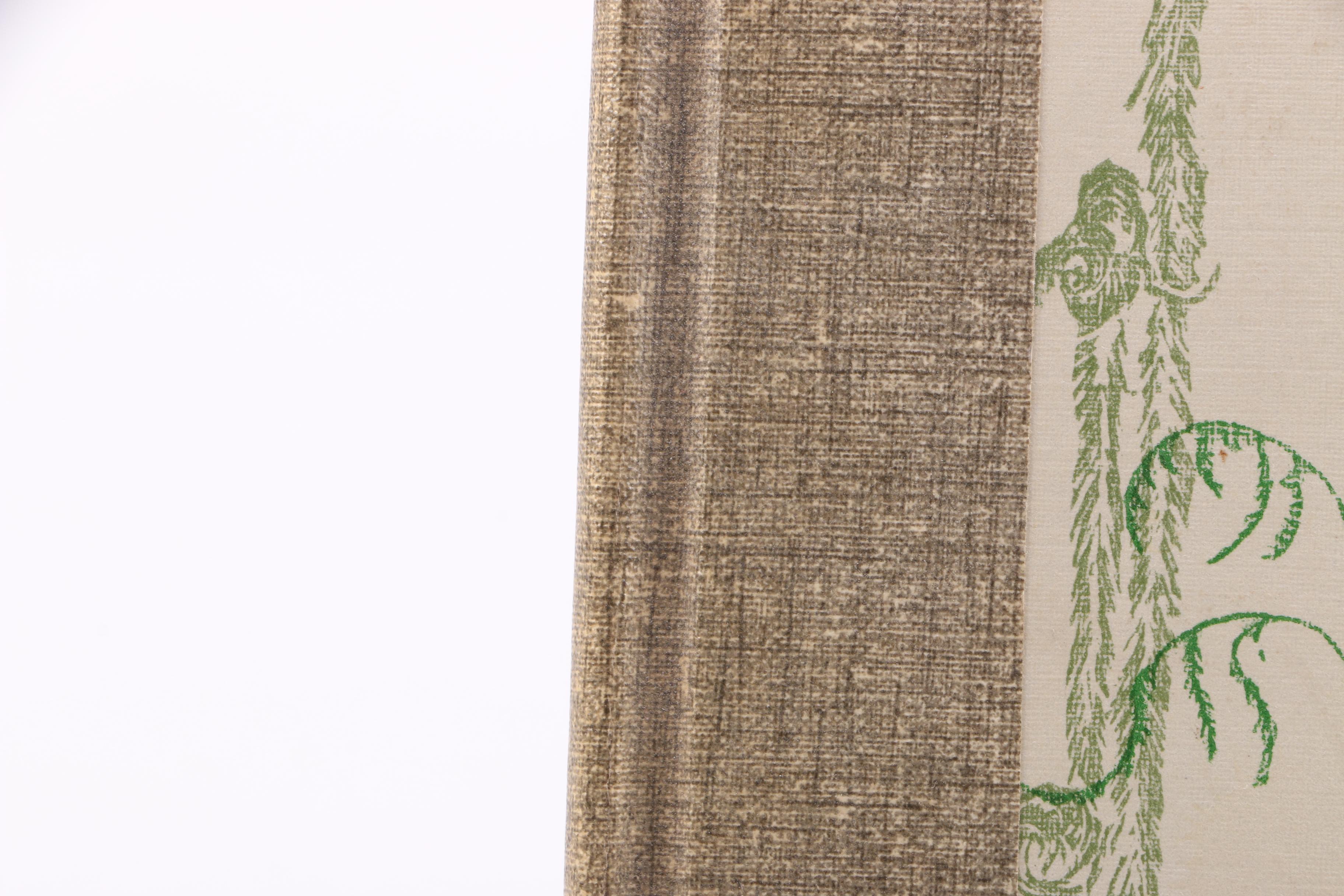 Assorted Fiction and Non-Fiction Books Including Bird Watching Guides