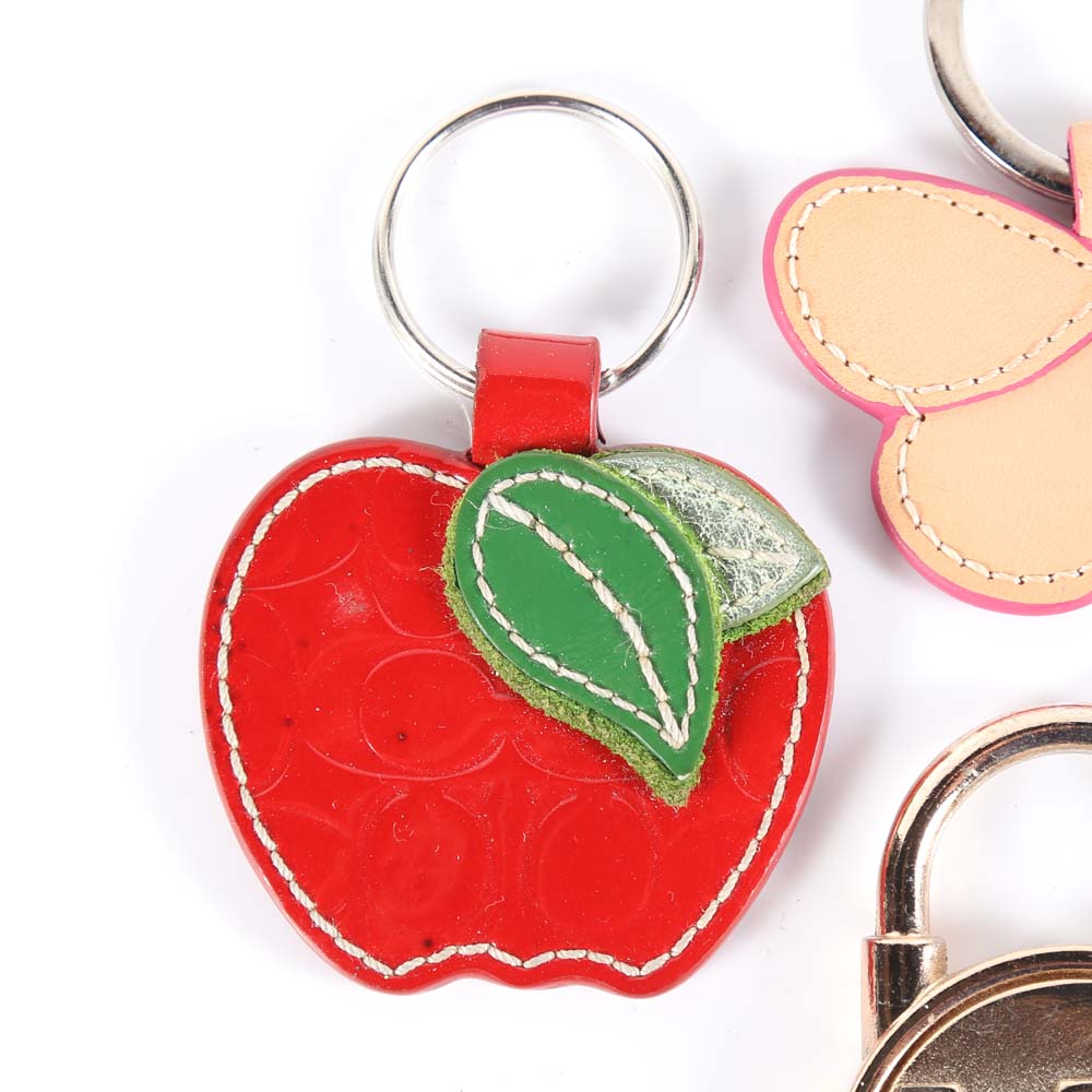 Collection of Key Fobs Including Coach