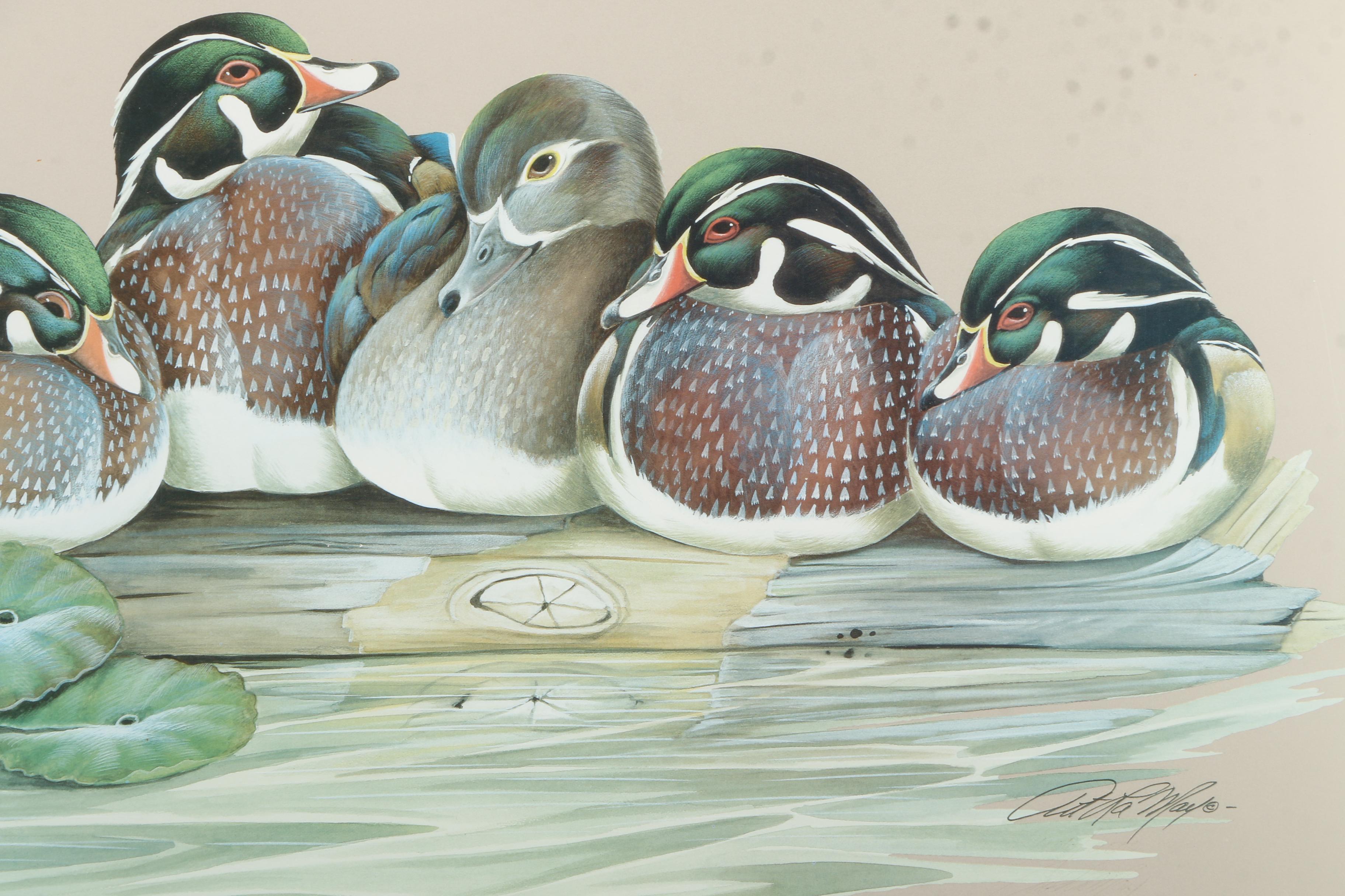 Art LaMay 1996 Waterfowl Festival Offset Lithograph Poster "Oh-So-Cozy"