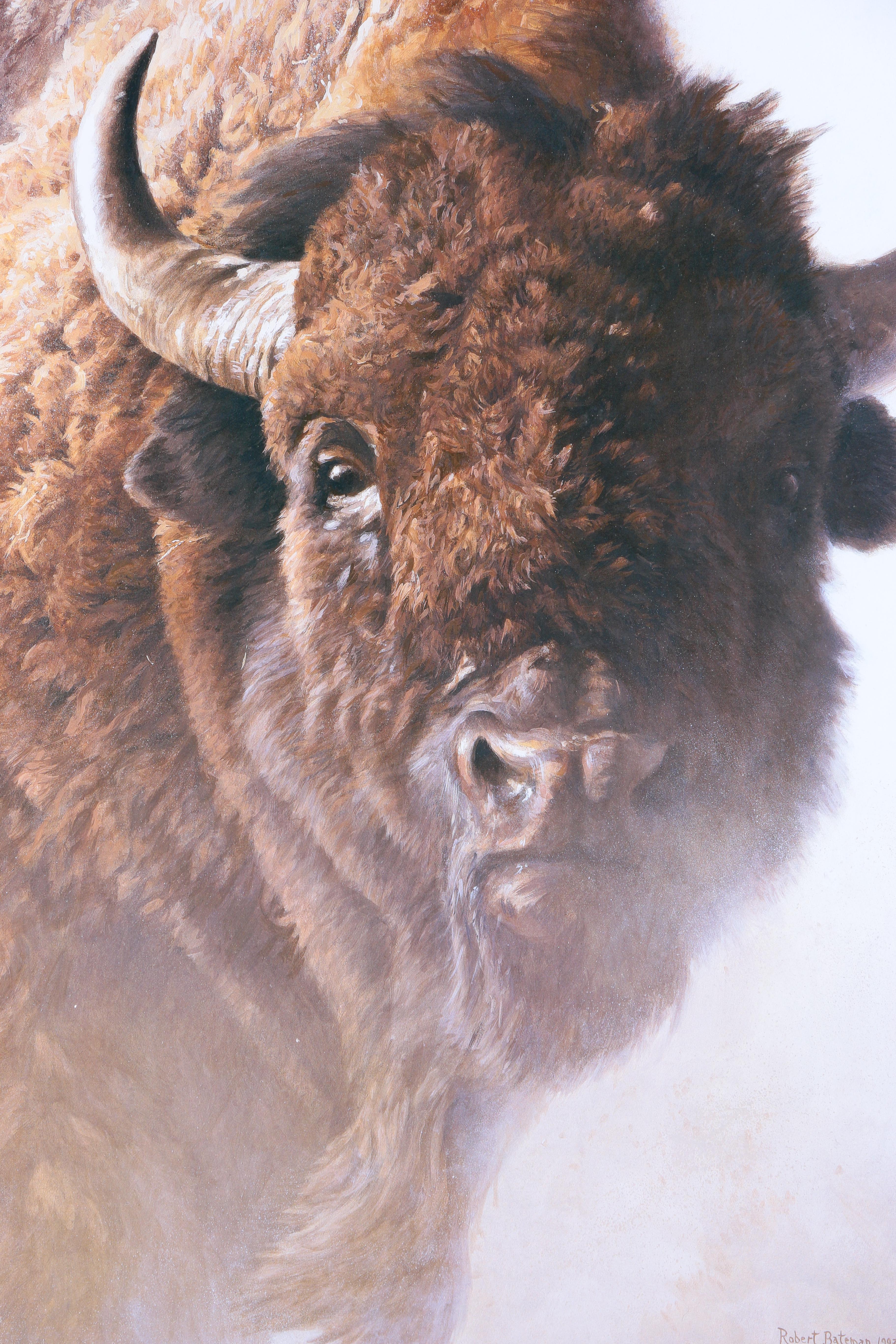 Offset Lithograph After Robert Bateman "Chief"