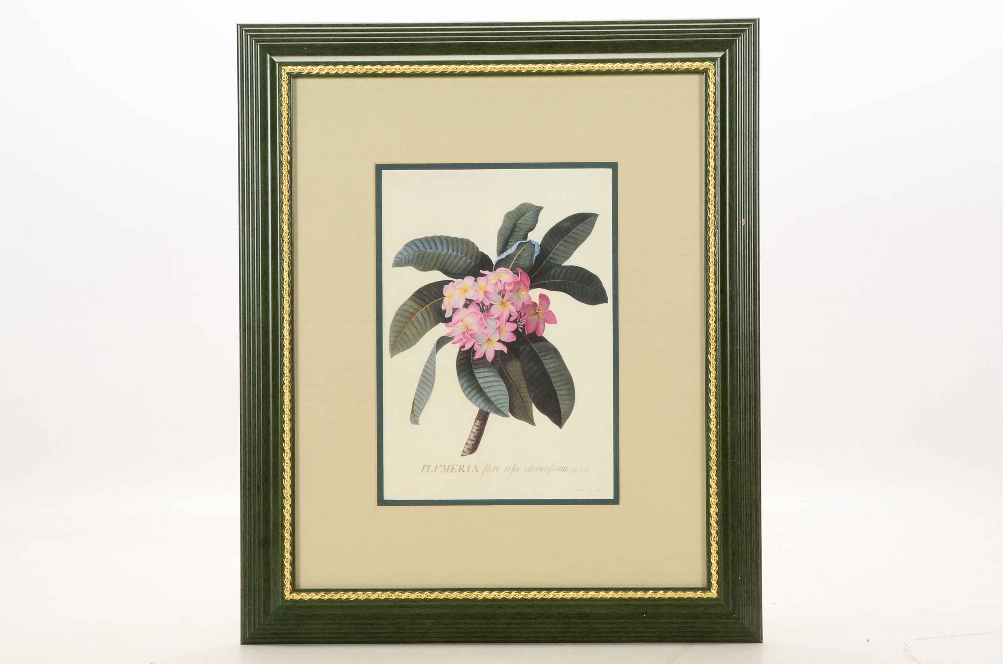 Three Framed Floral Prints