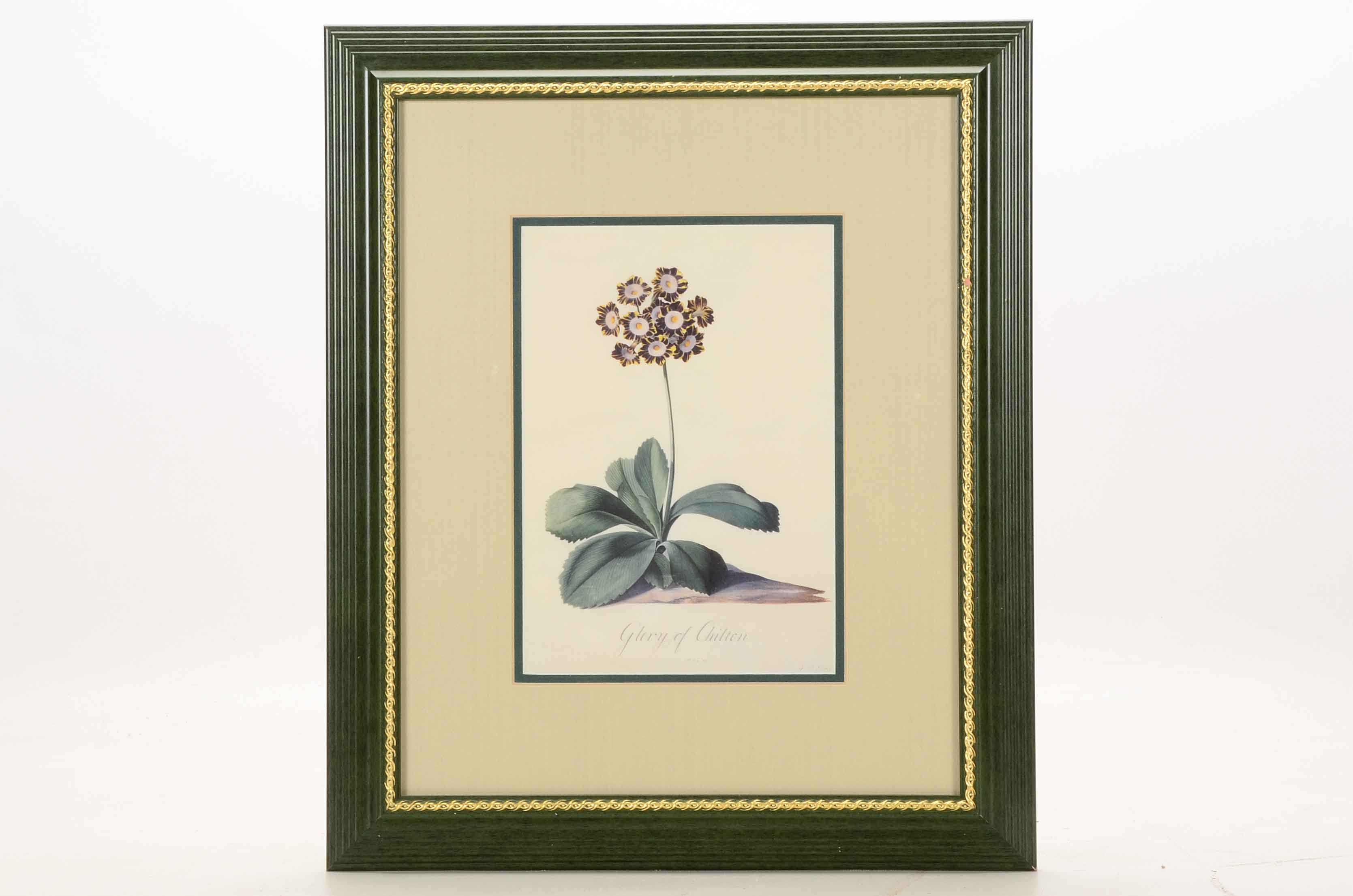 Three Framed Floral Prints