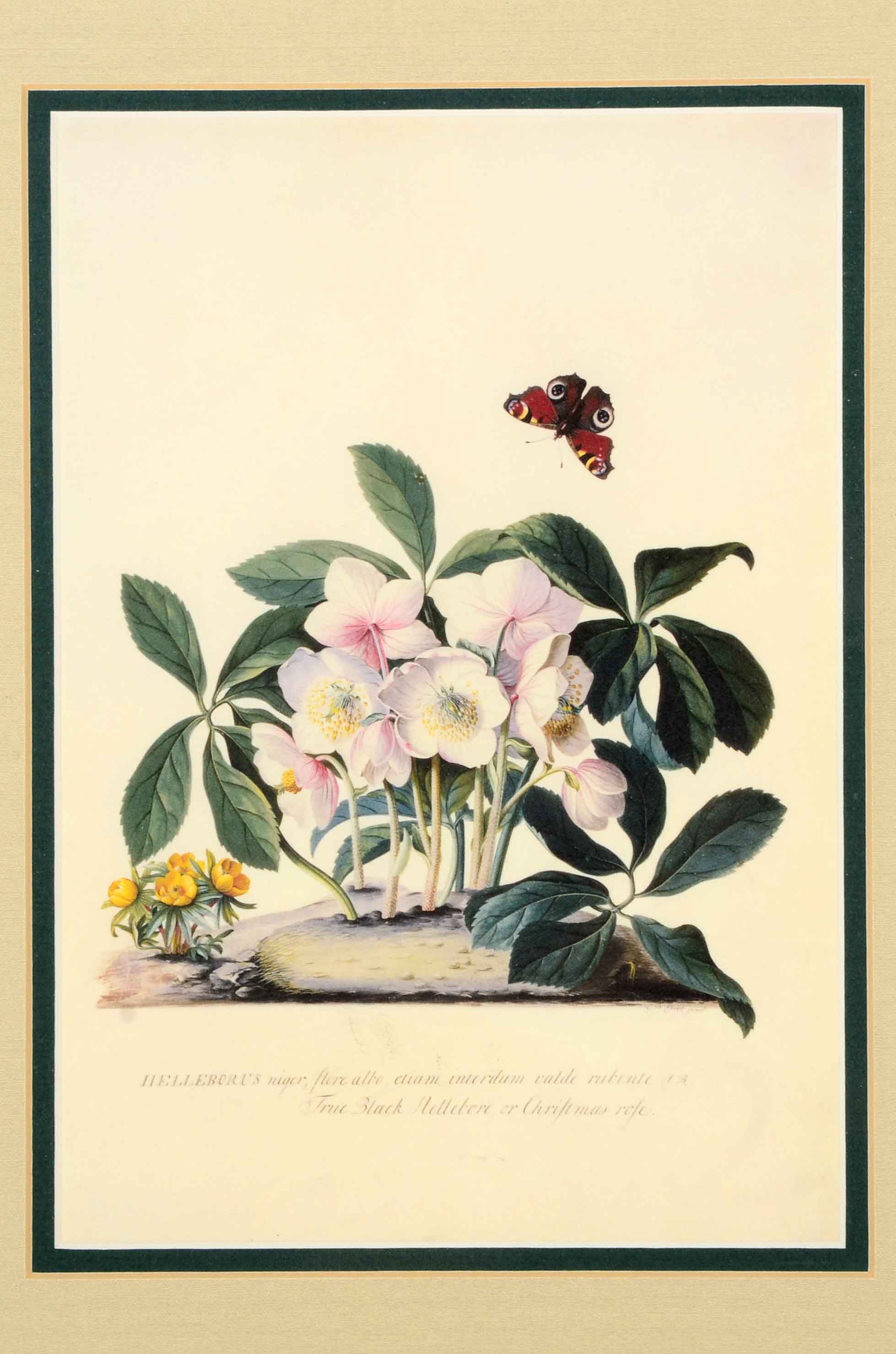 Three Framed Floral Prints