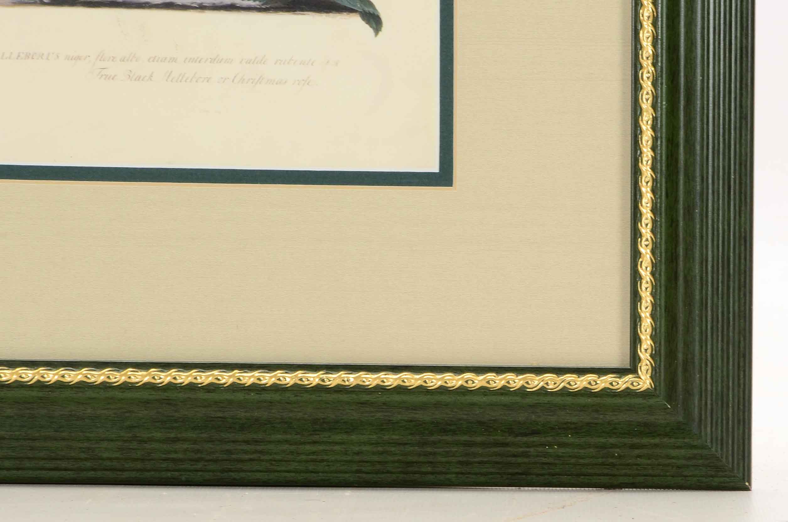 Three Framed Floral Prints