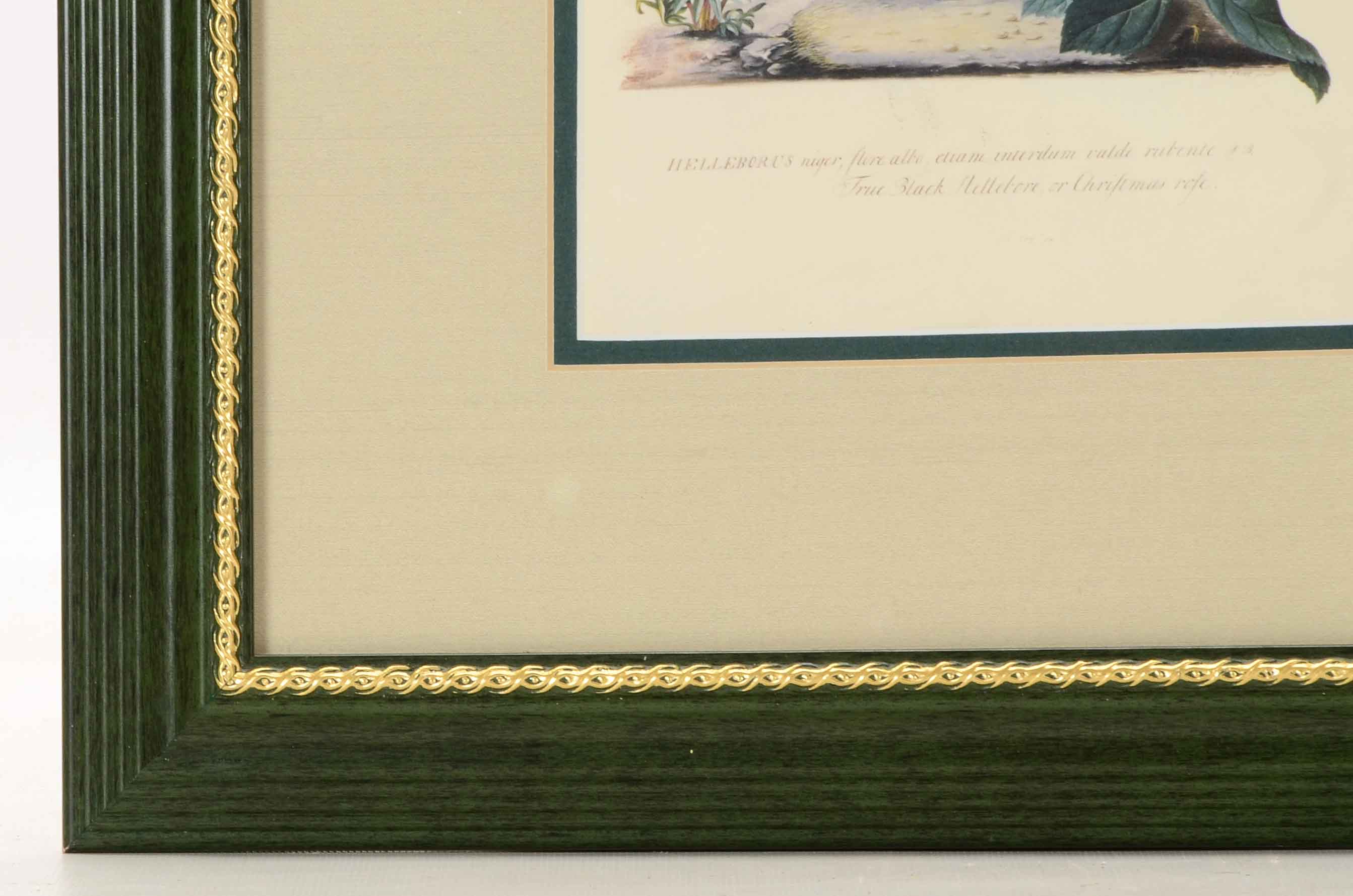 Three Framed Floral Prints