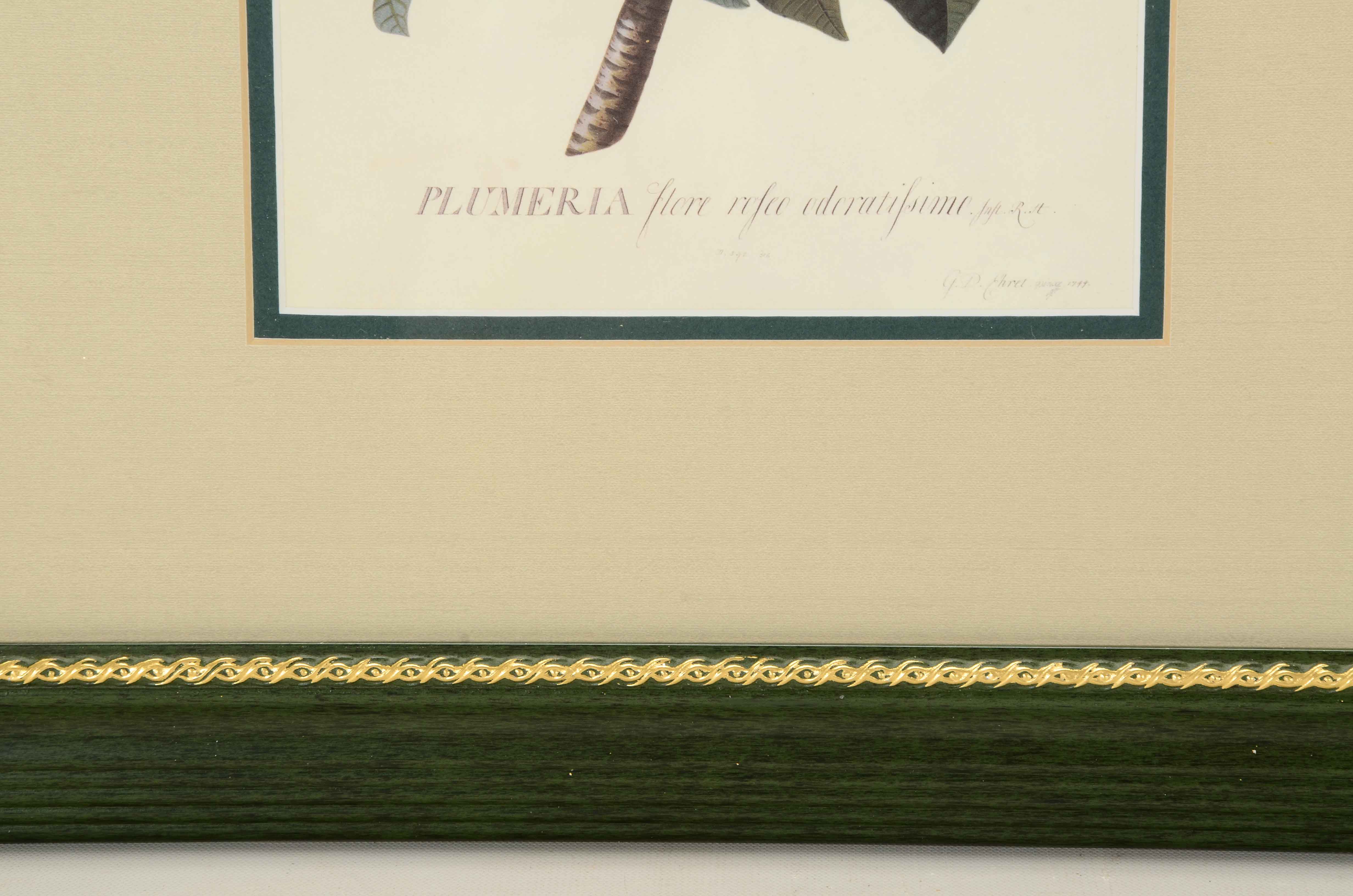 Three Framed Floral Prints